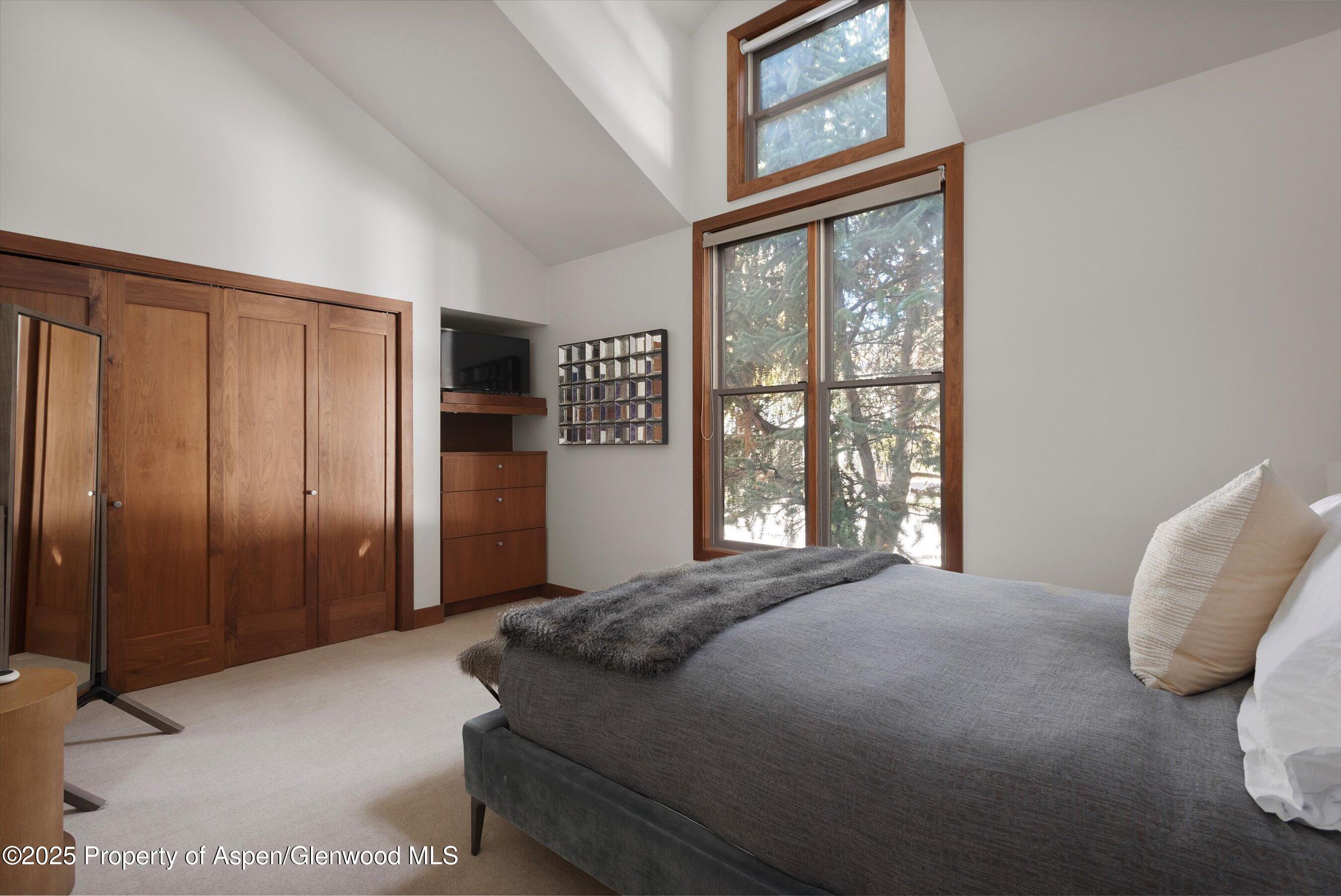 602 W Hallam Street Aspen CO 81611