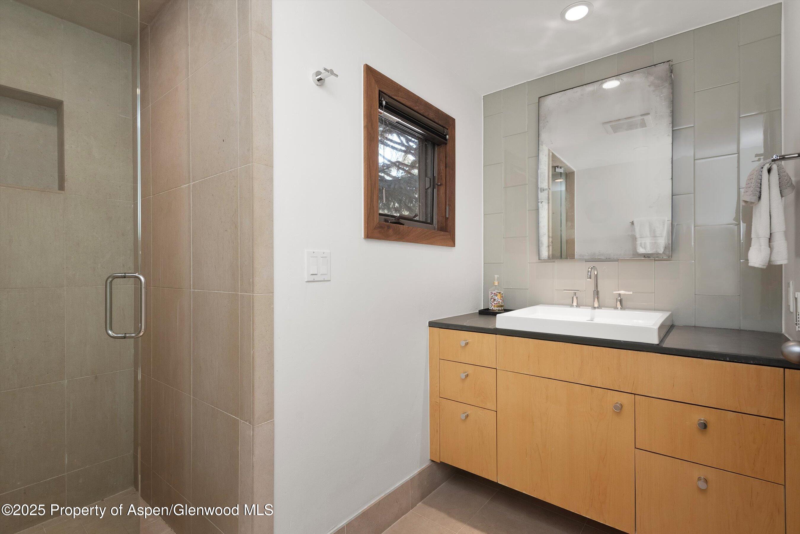 602 W Hallam Street Aspen CO 81611