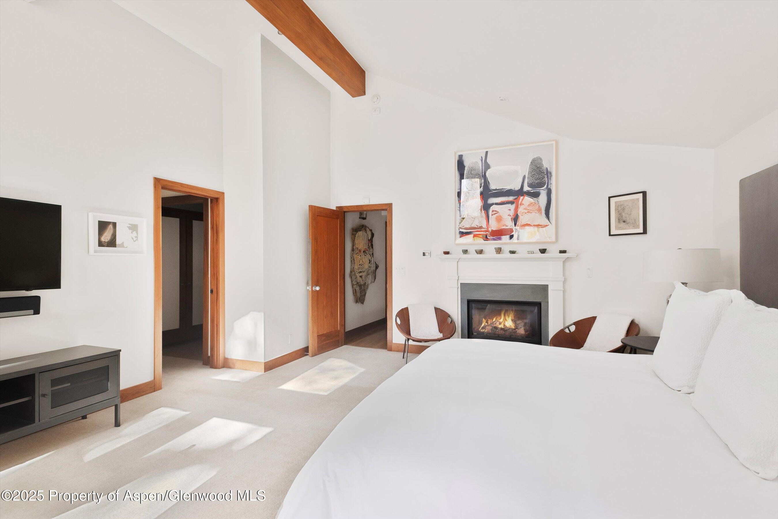 602 W Hallam Street Aspen CO 81611