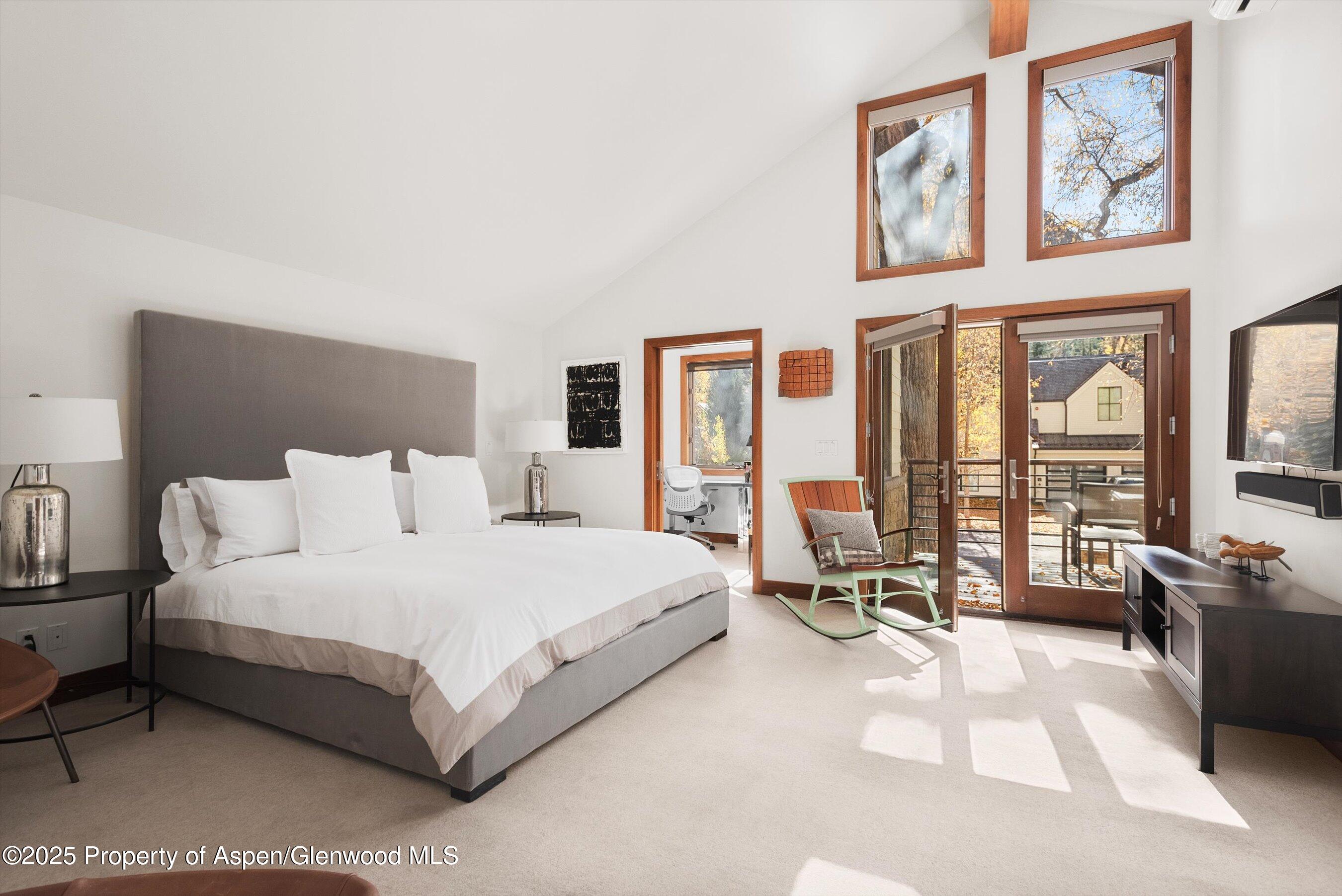 602 W Hallam Street Aspen CO 81611