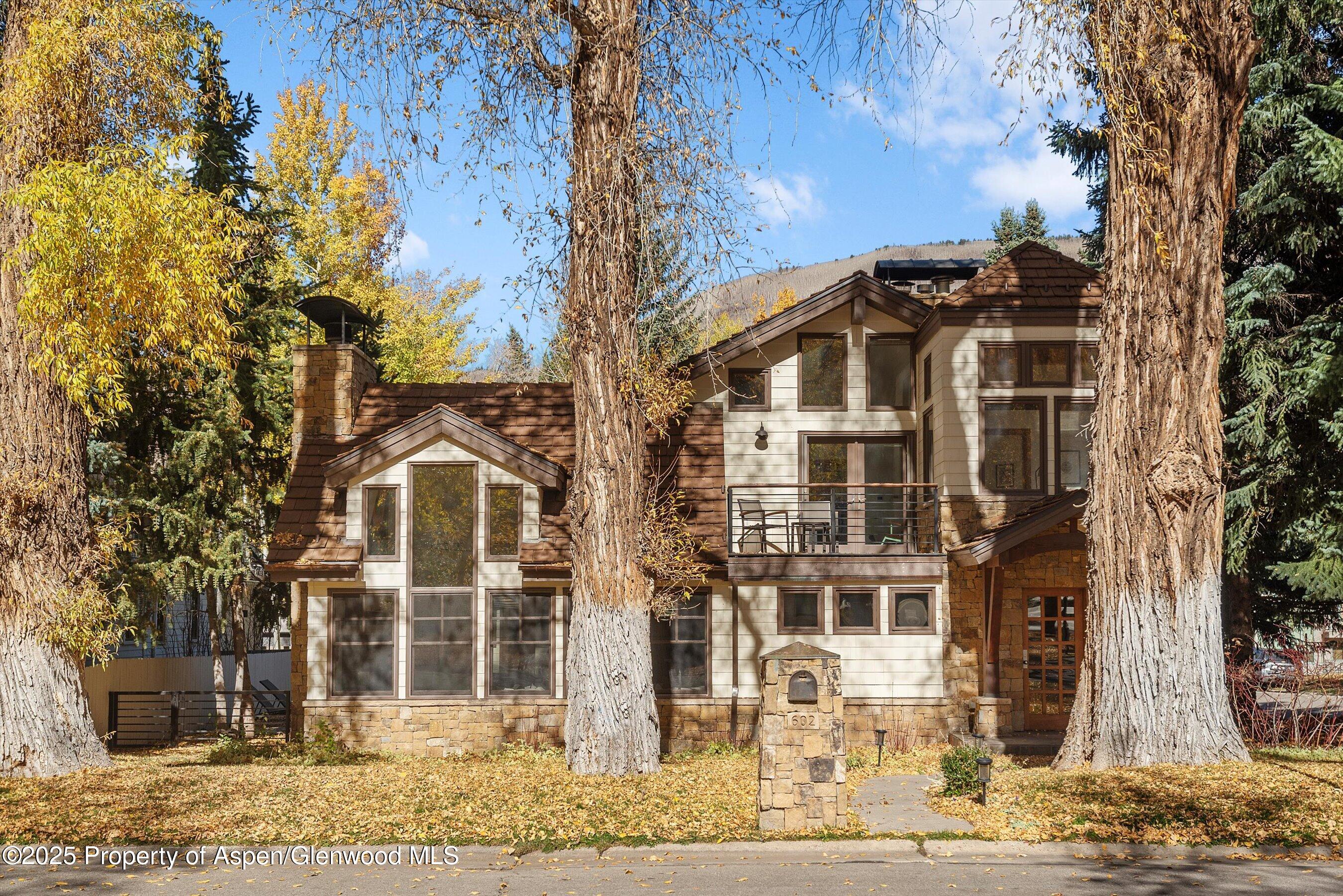 602 W Hallam Street Aspen CO 81611