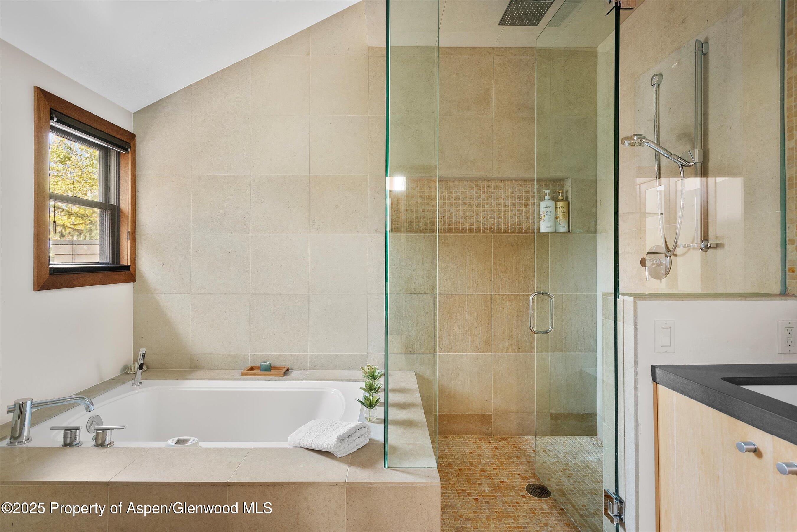 602 W Hallam Street Aspen CO 81611