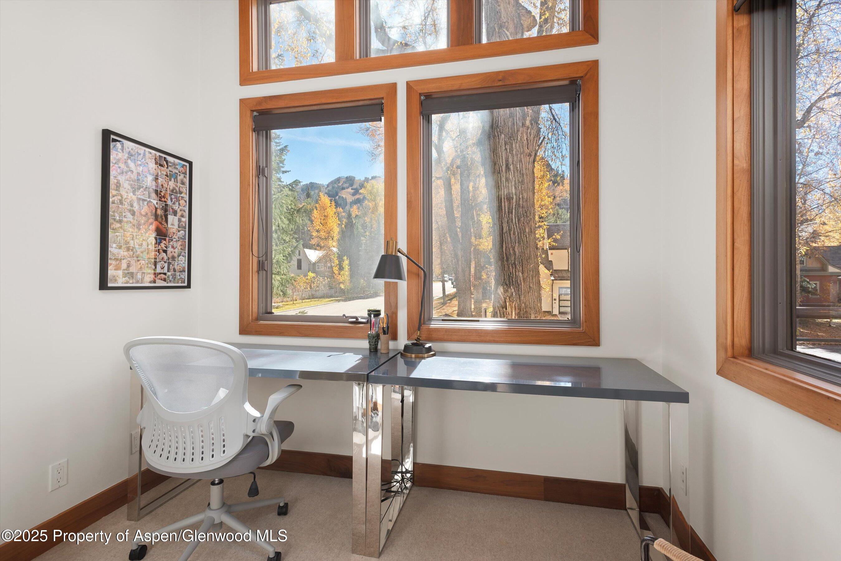 602 W Hallam Street Aspen CO 81611