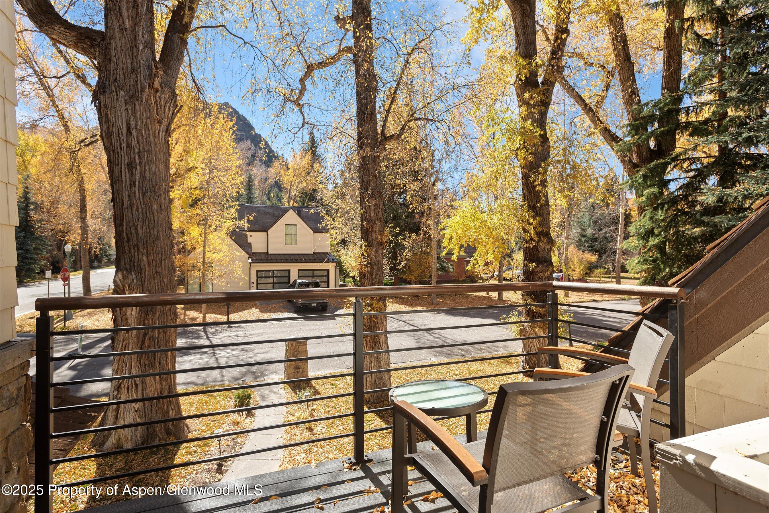 602 W Hallam Street Aspen CO 81611