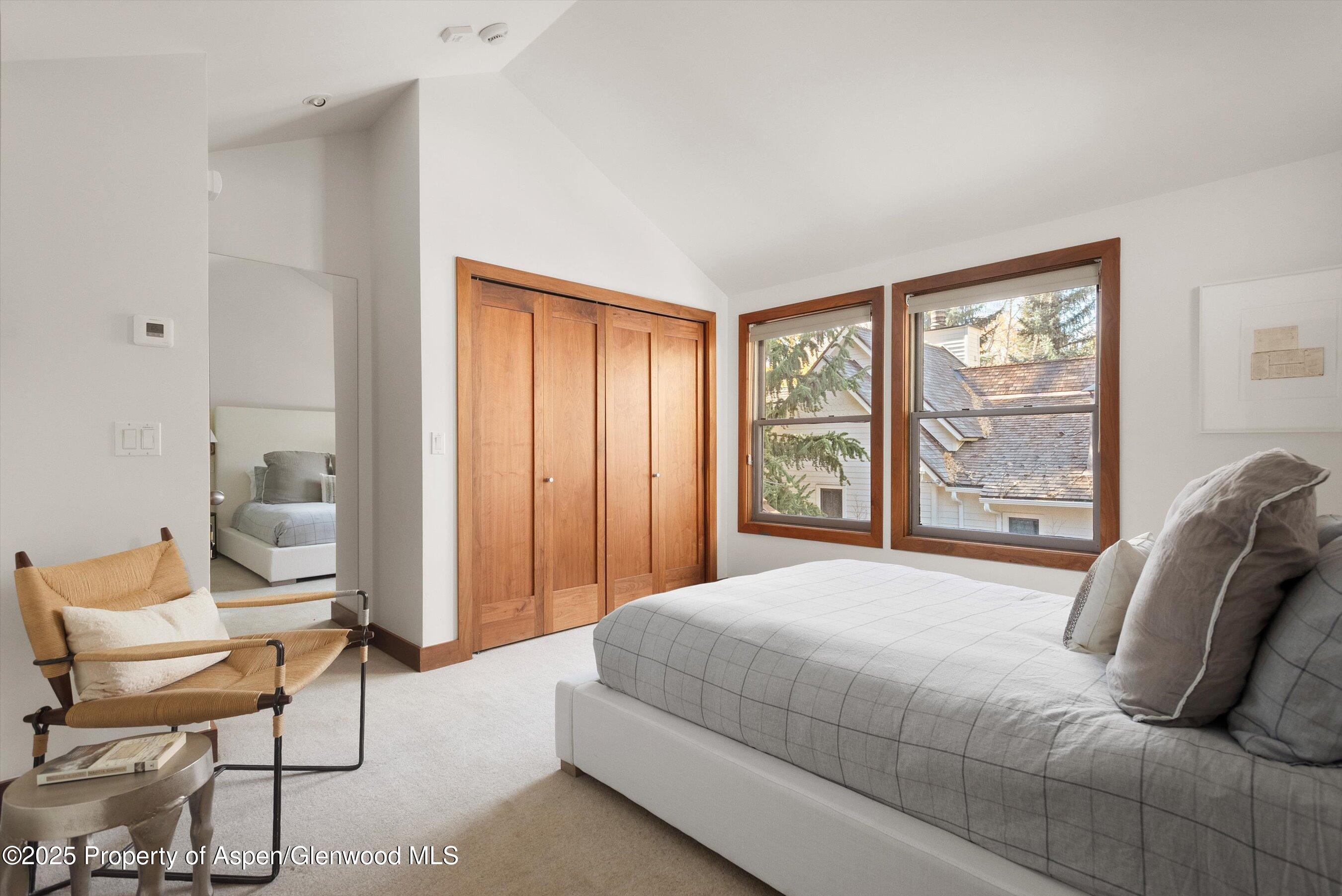 602 W Hallam Street Aspen CO 81611