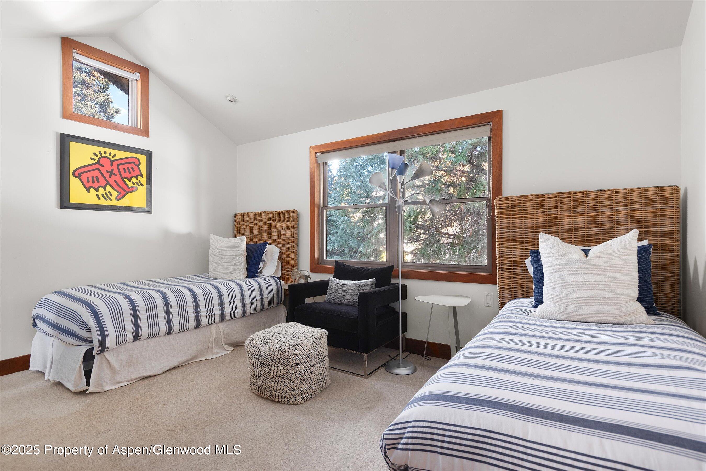 602 W Hallam Street Aspen CO 81611