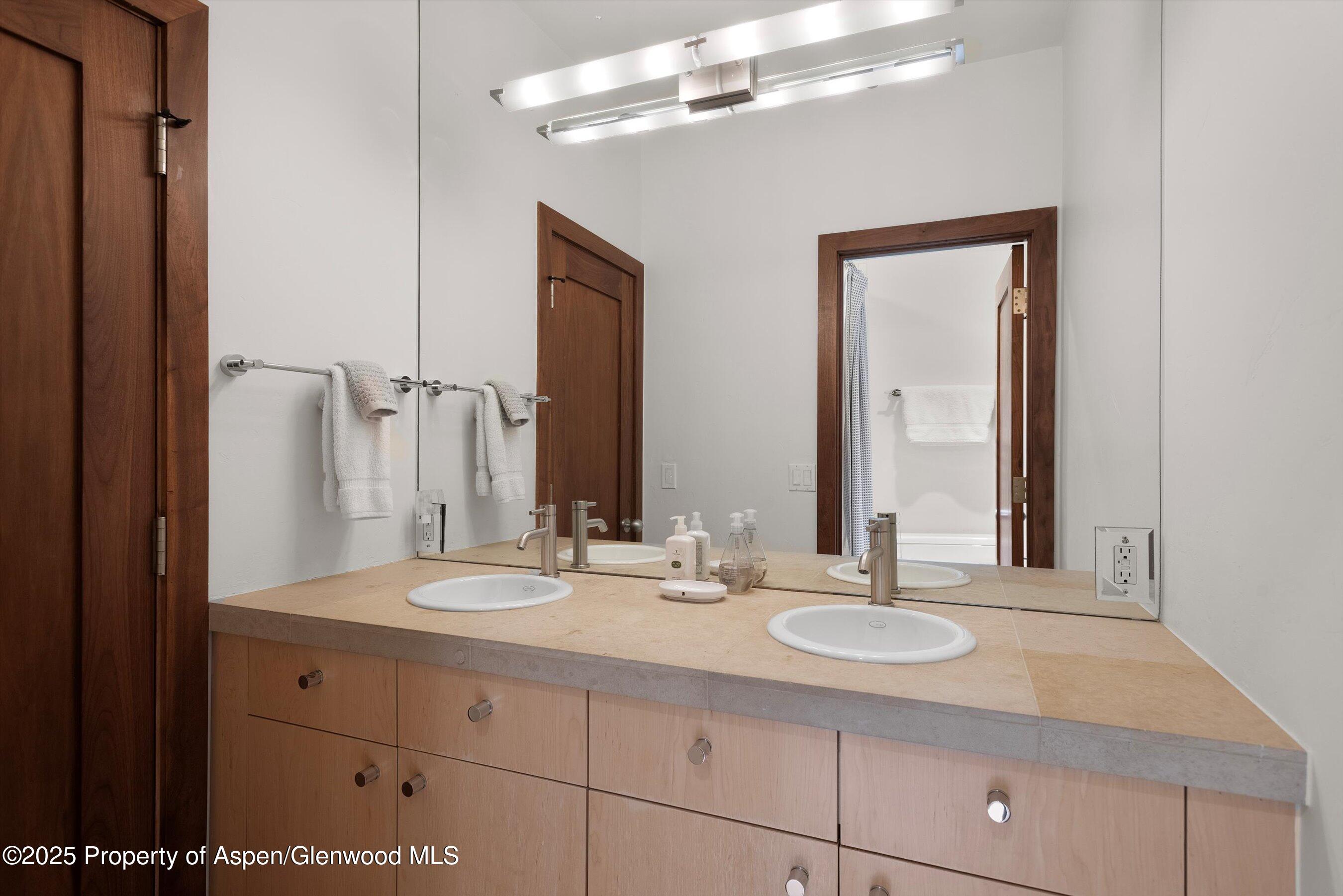 602 W Hallam Street Aspen CO 81611