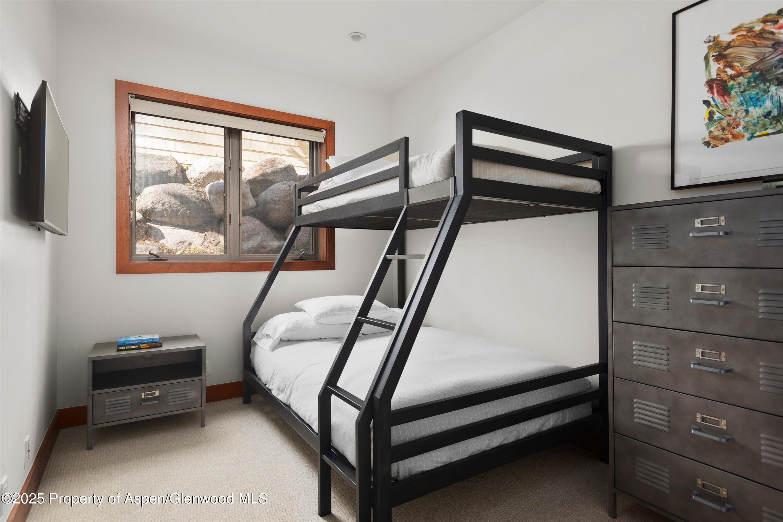 602 W Hallam Street Aspen CO 81611