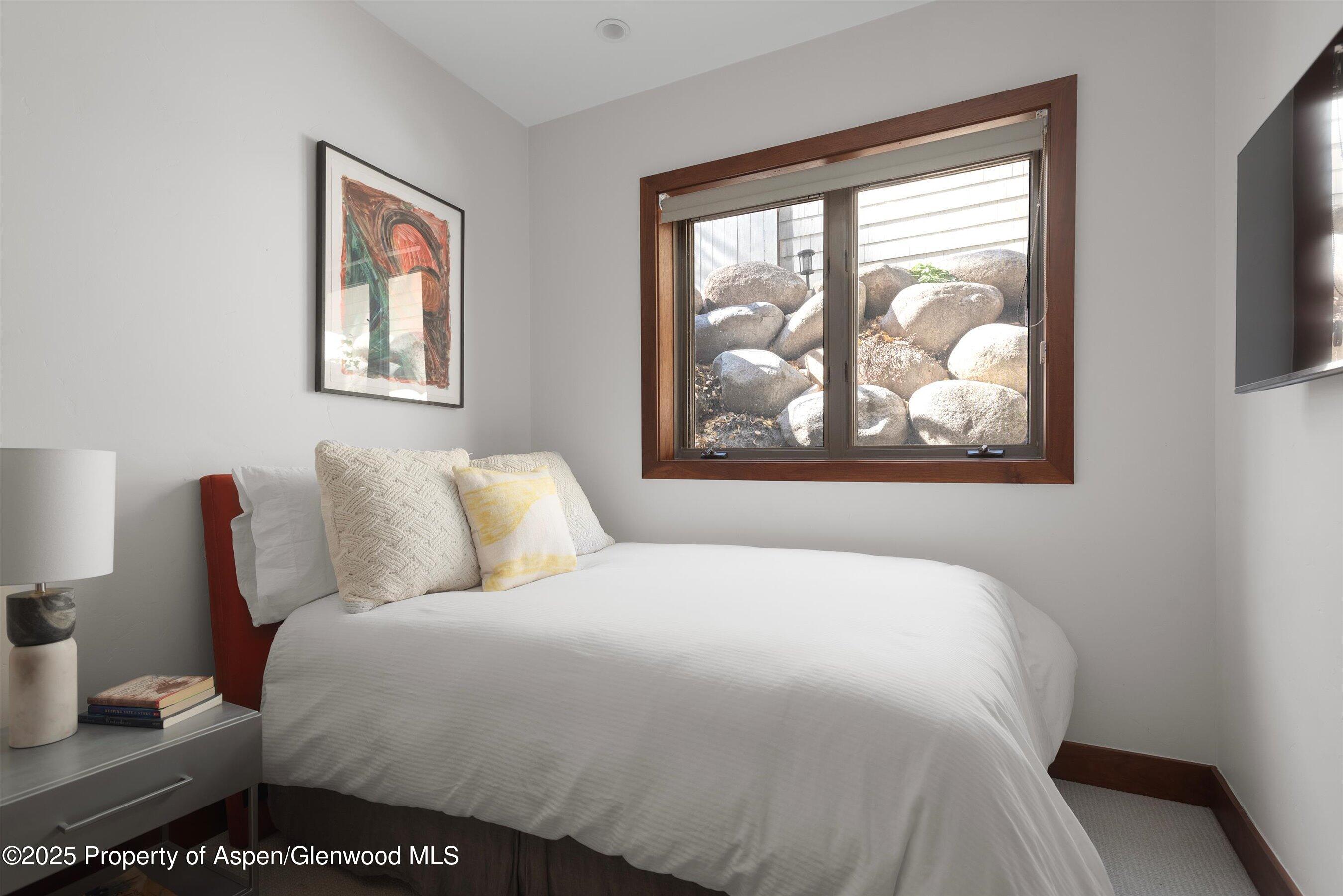 602 W Hallam Street Aspen CO 81611