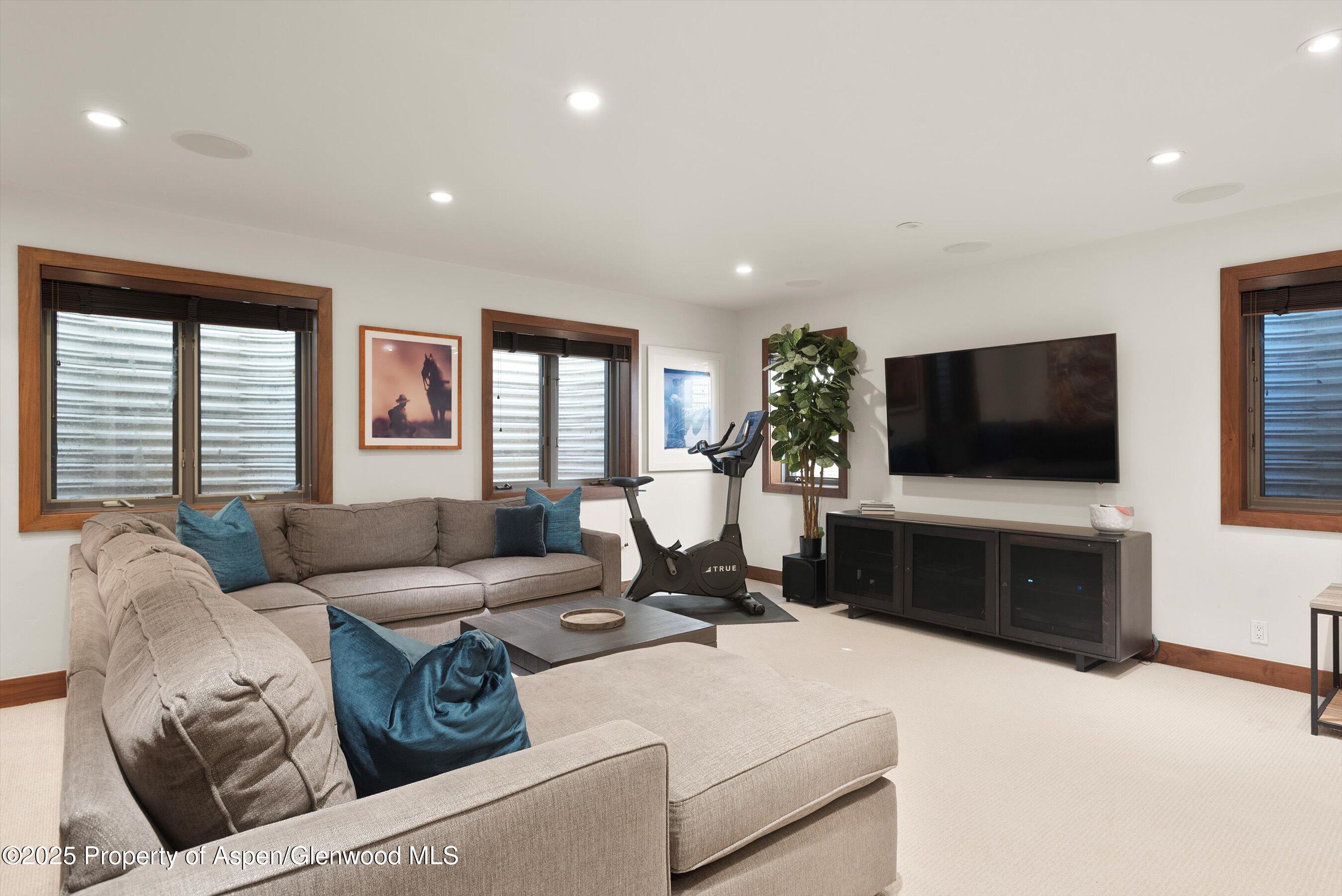 602 W Hallam Street Aspen CO 81611