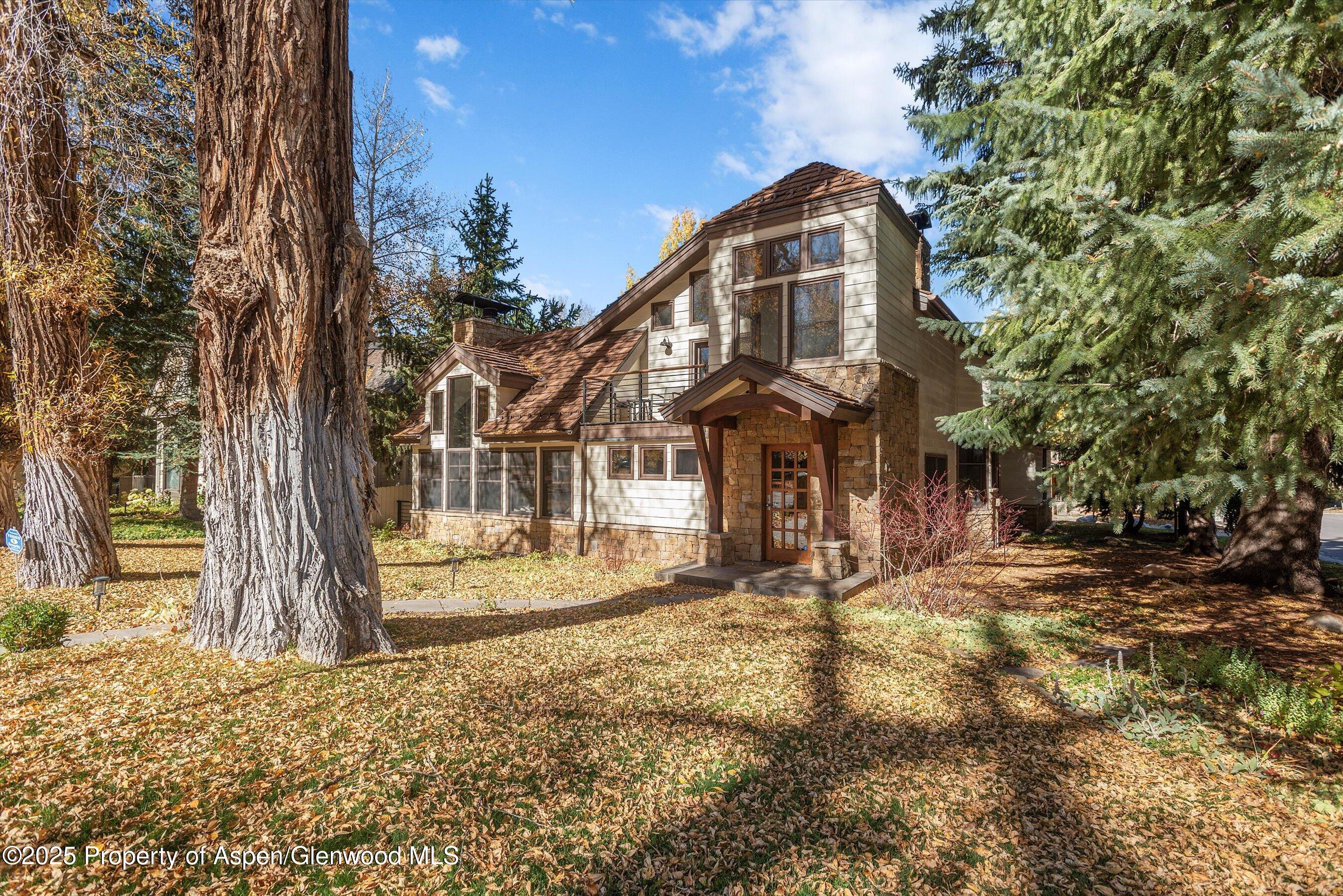 602 W Hallam Street Aspen CO 81611