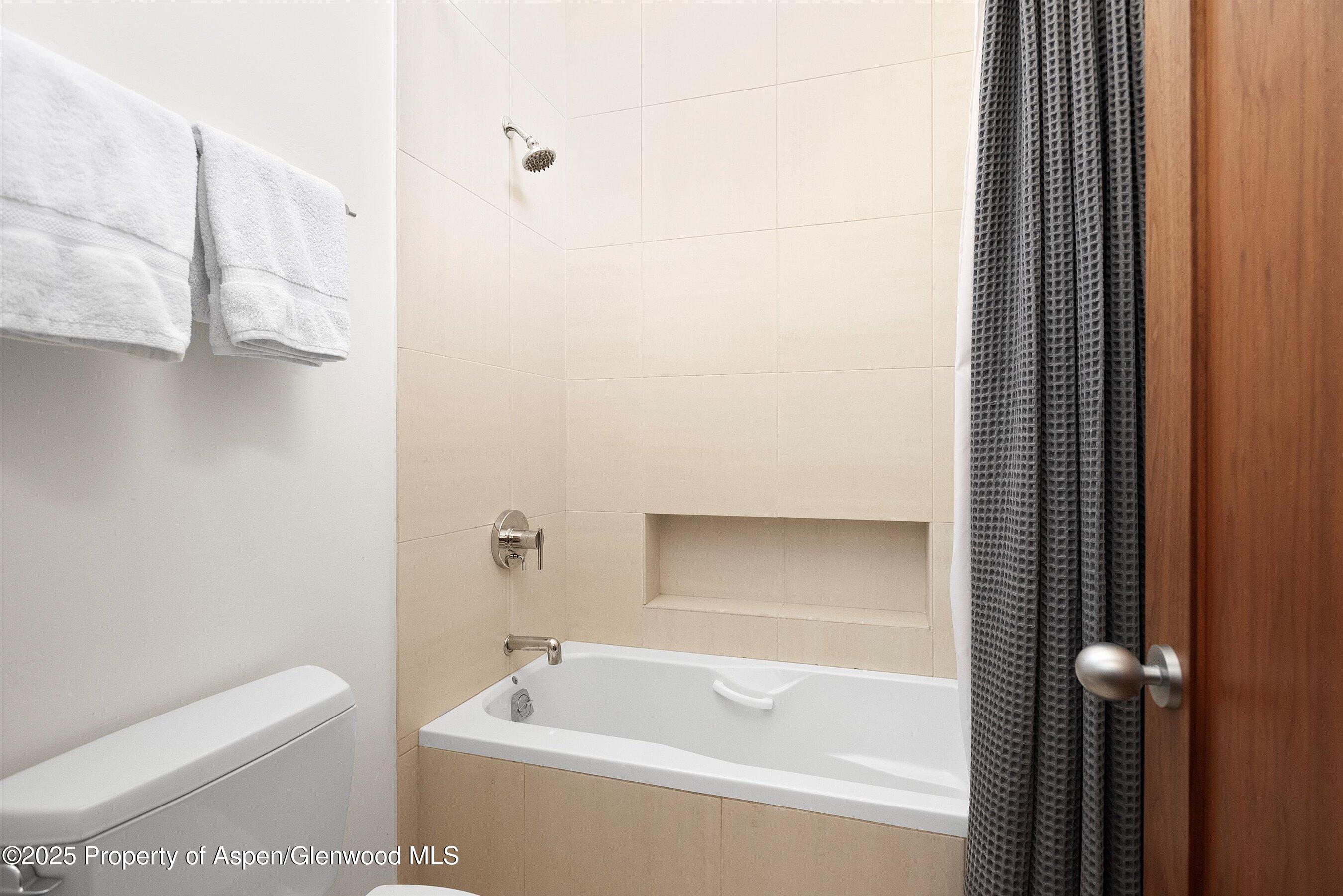 602 W Hallam Street Aspen CO 81611