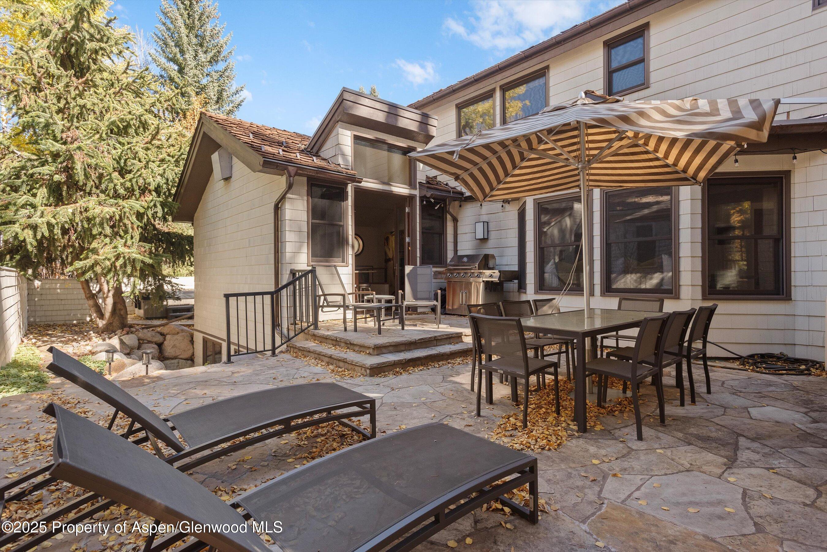 602 W Hallam Street Aspen CO 81611