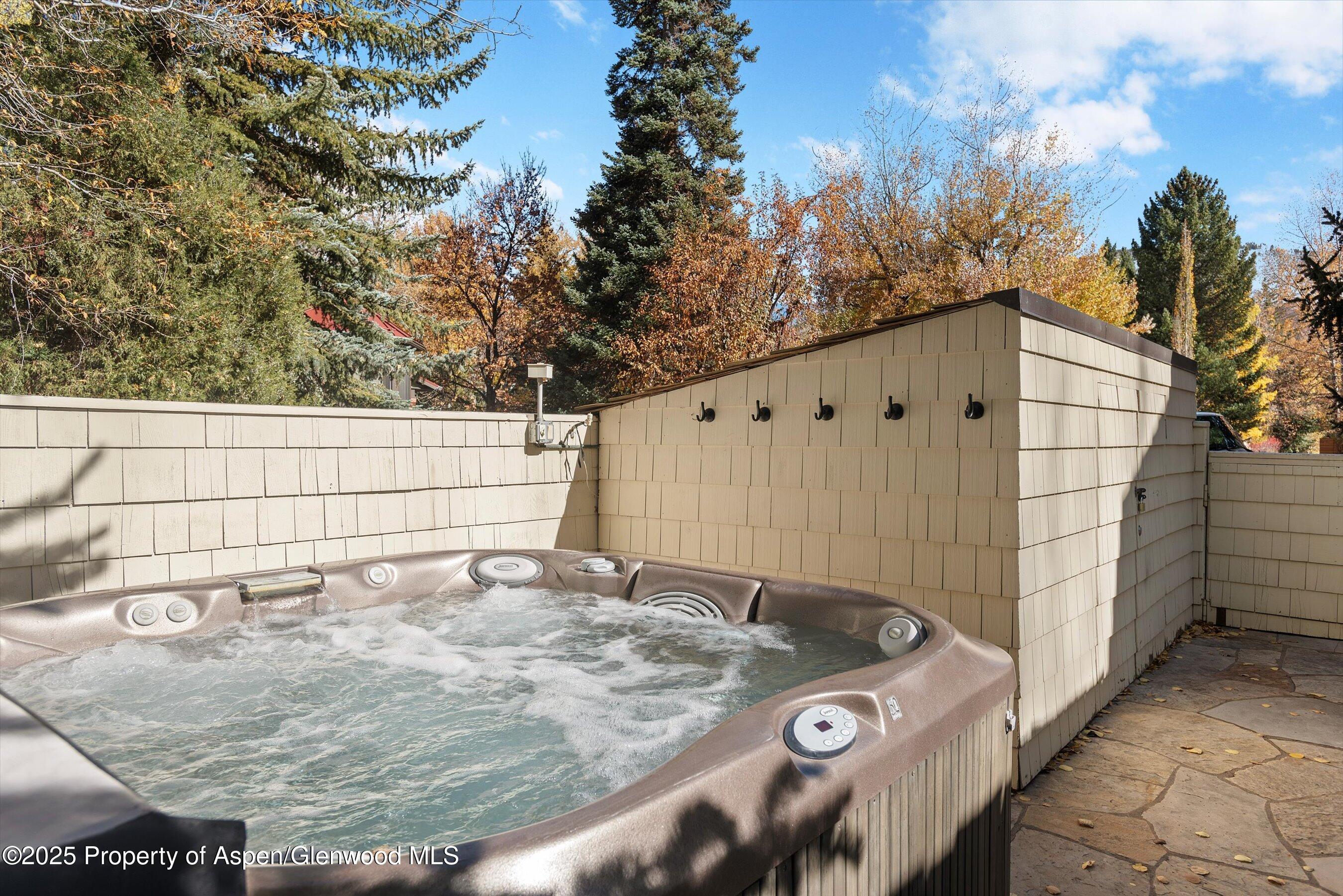 602 W Hallam Street Aspen CO 81611