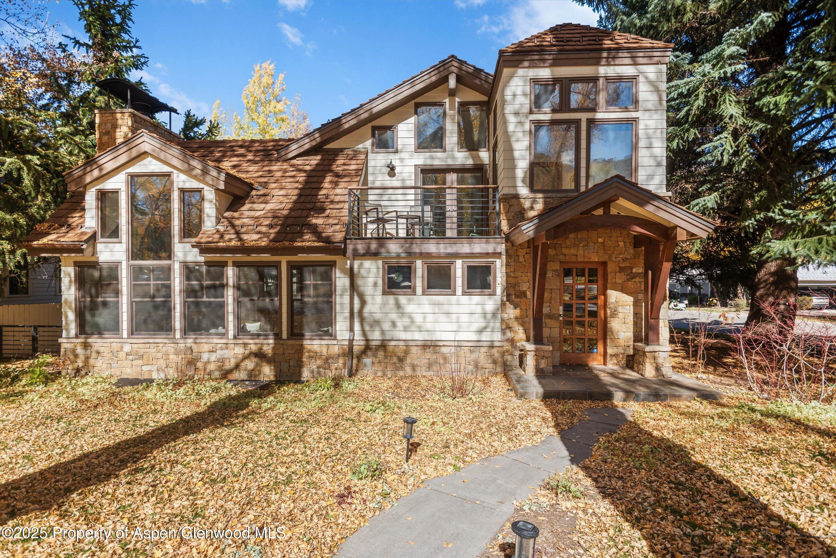 602 W Hallam Street Aspen CO 81611