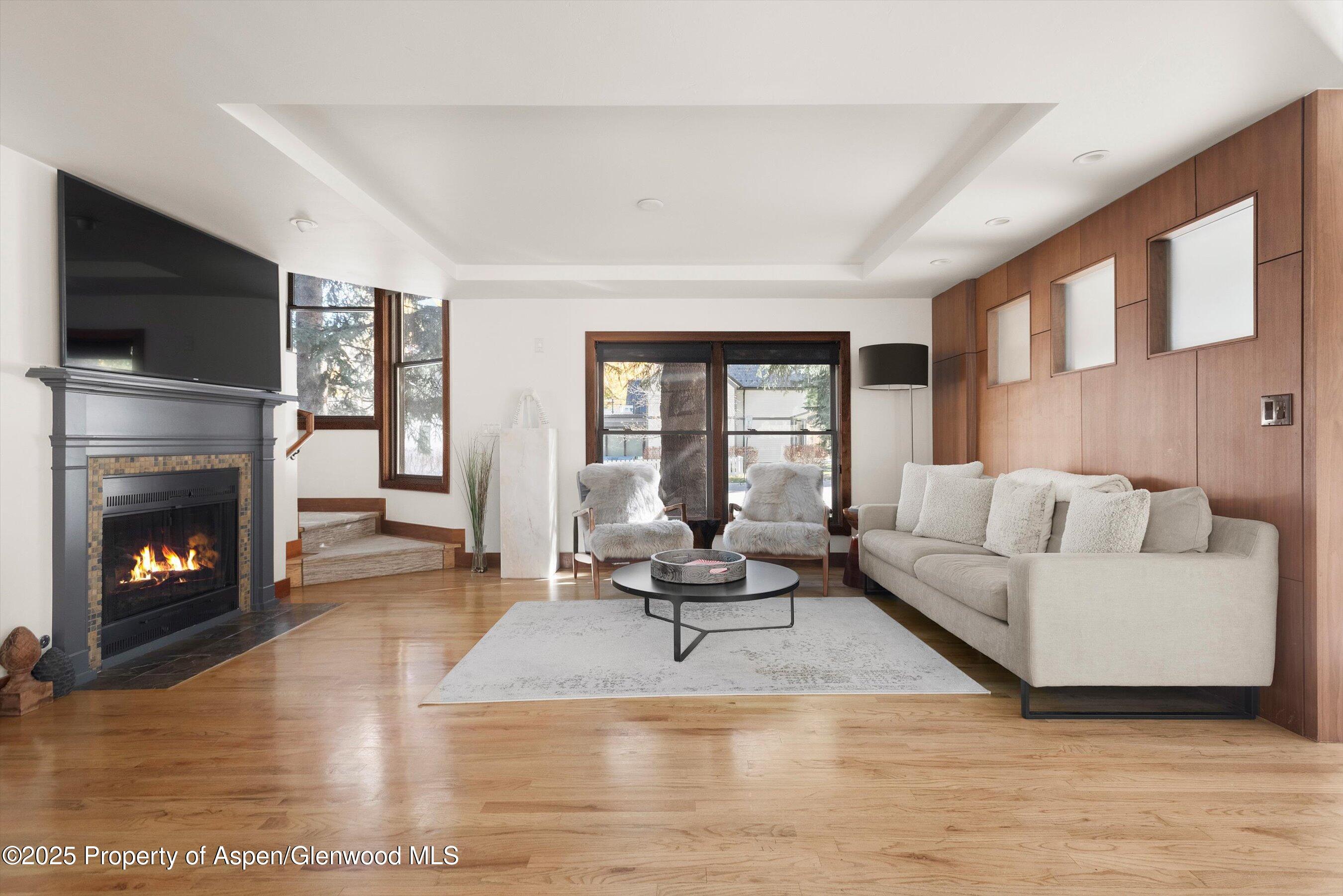 602 W Hallam Street Aspen CO 81611