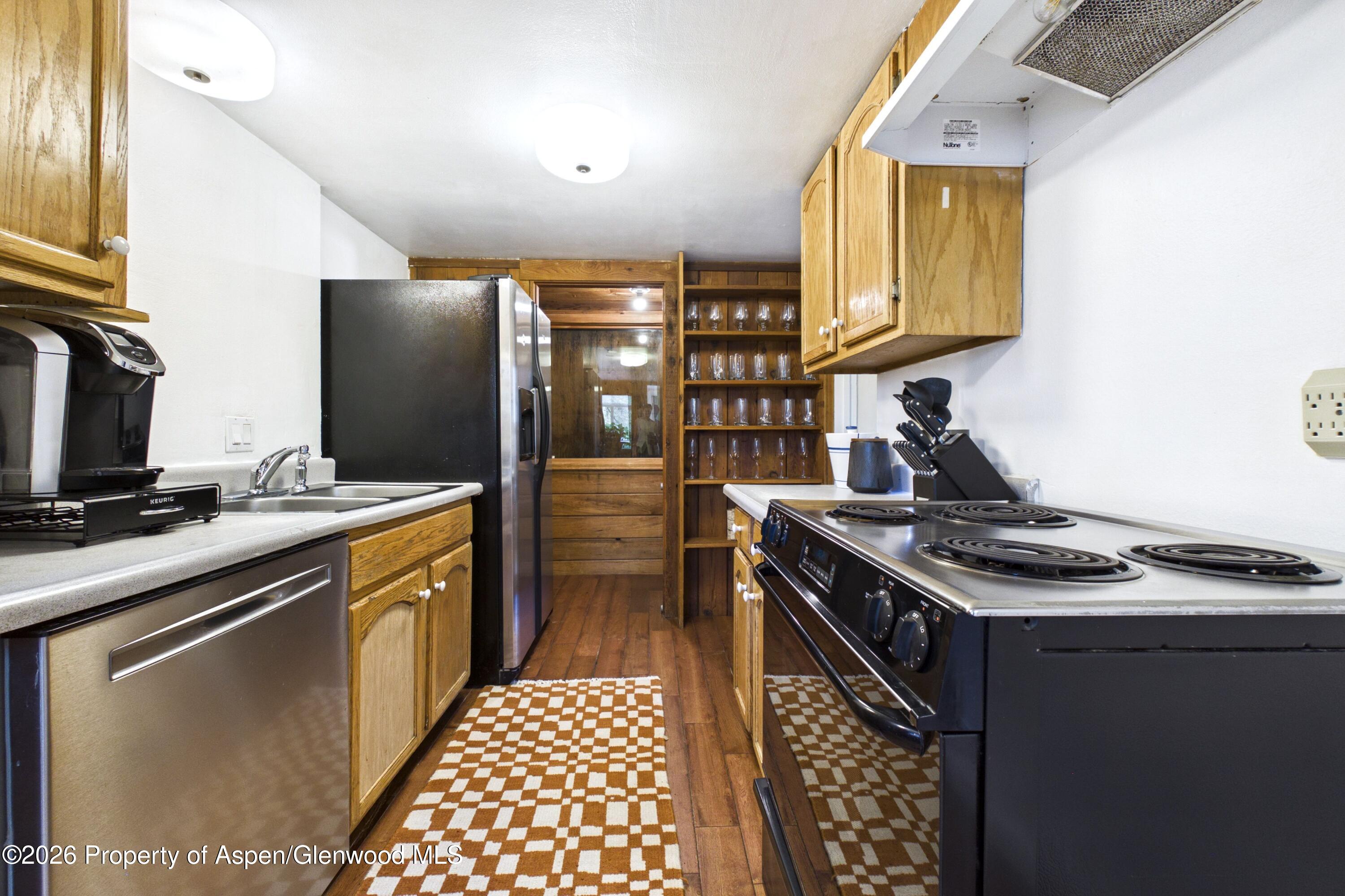 209 E Reds Road Aspen CO 81611