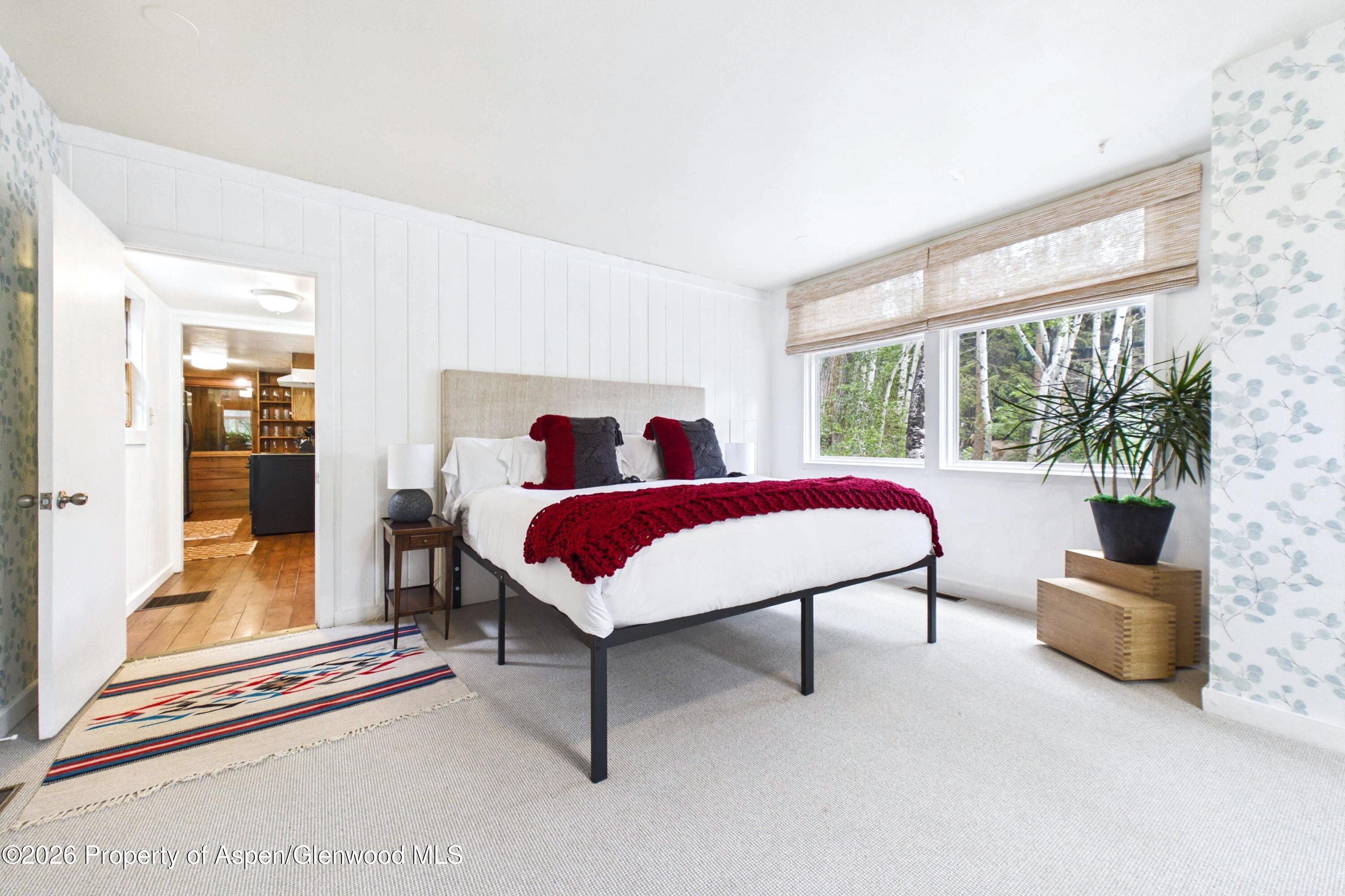 209 E Reds Road Aspen CO 81611