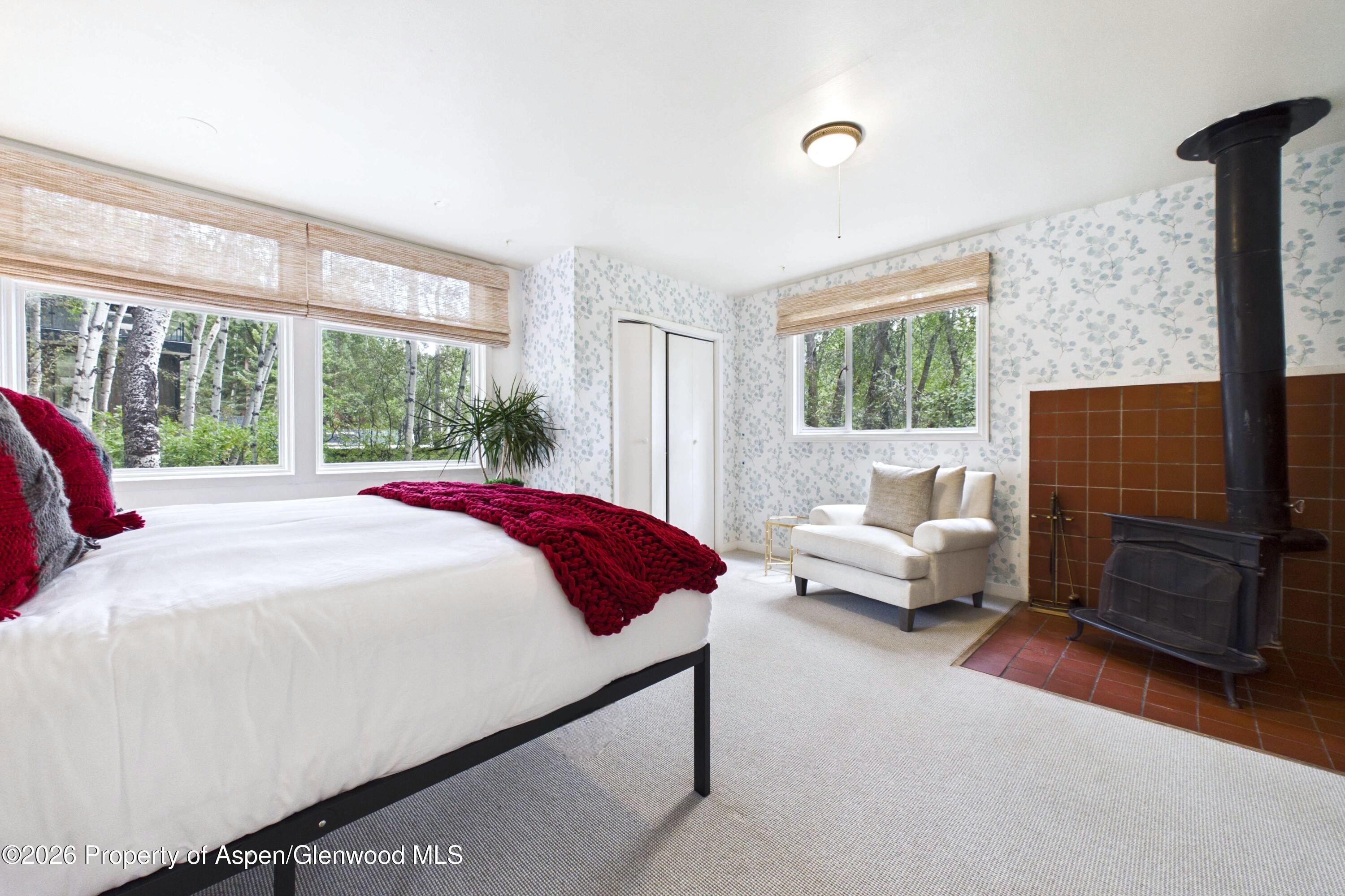 209 E Reds Road Aspen CO 81611