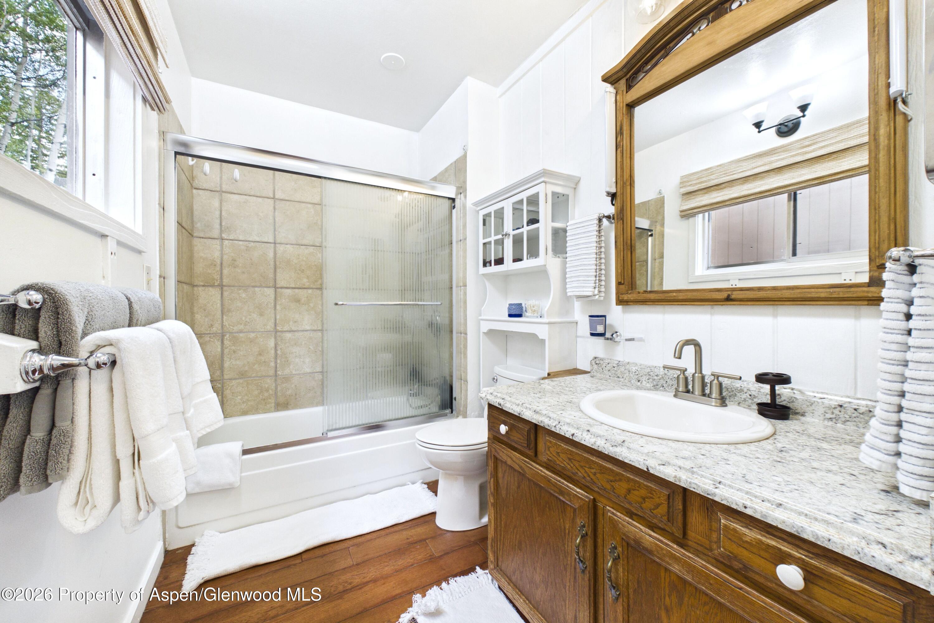 209 E Reds Road Aspen CO 81611