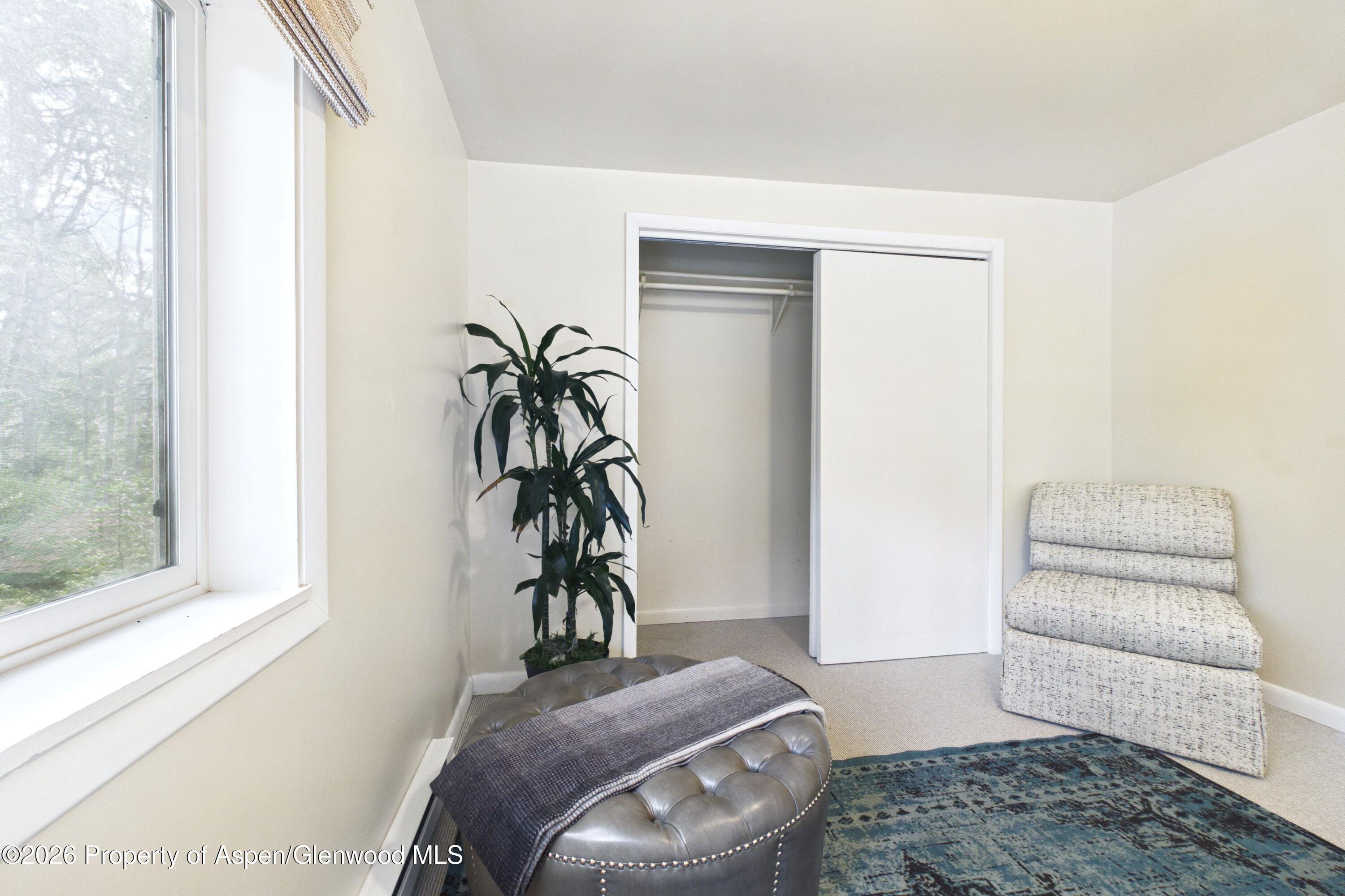 209 E Reds Road Aspen CO 81611
