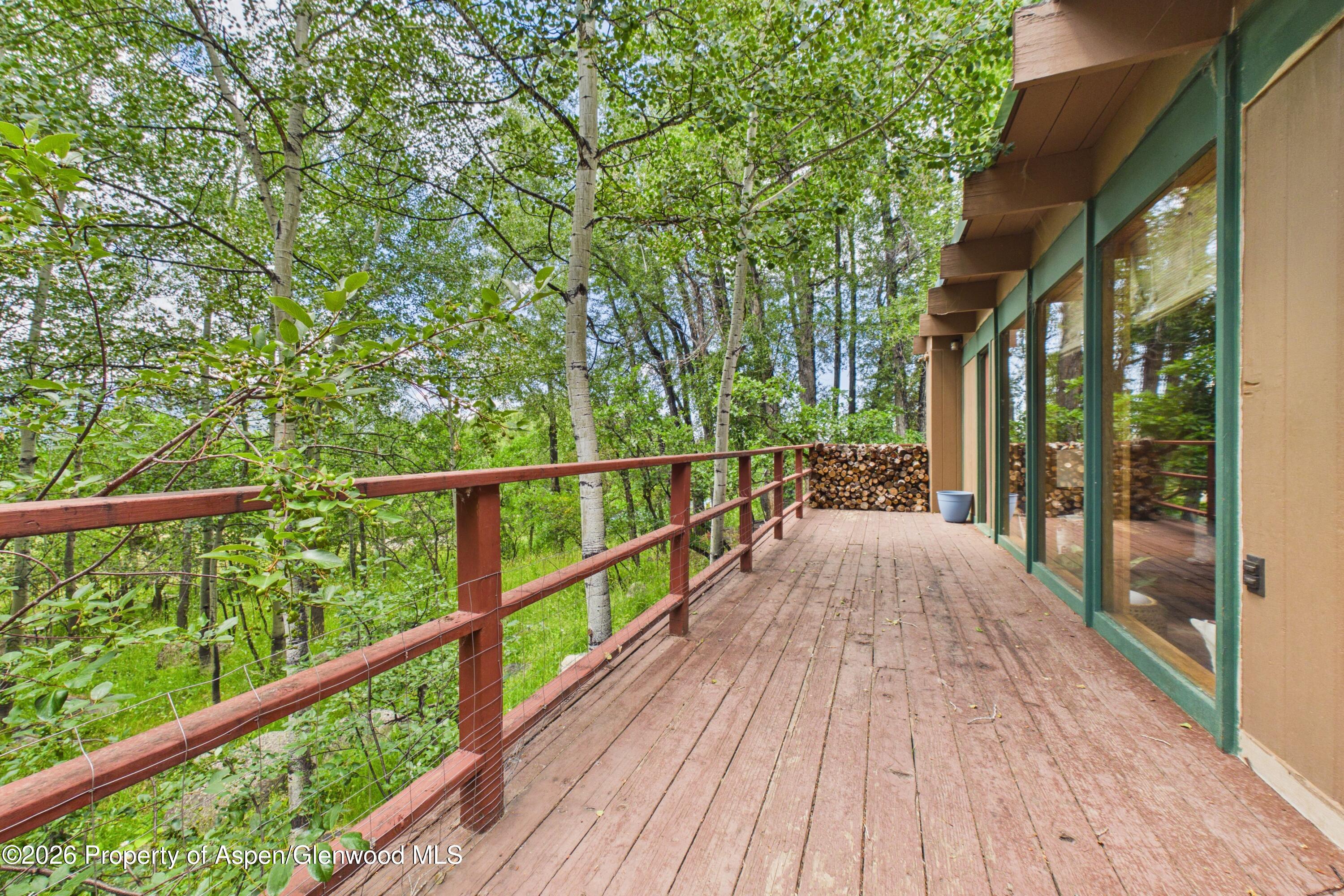 209 E Reds Road Aspen CO 81611