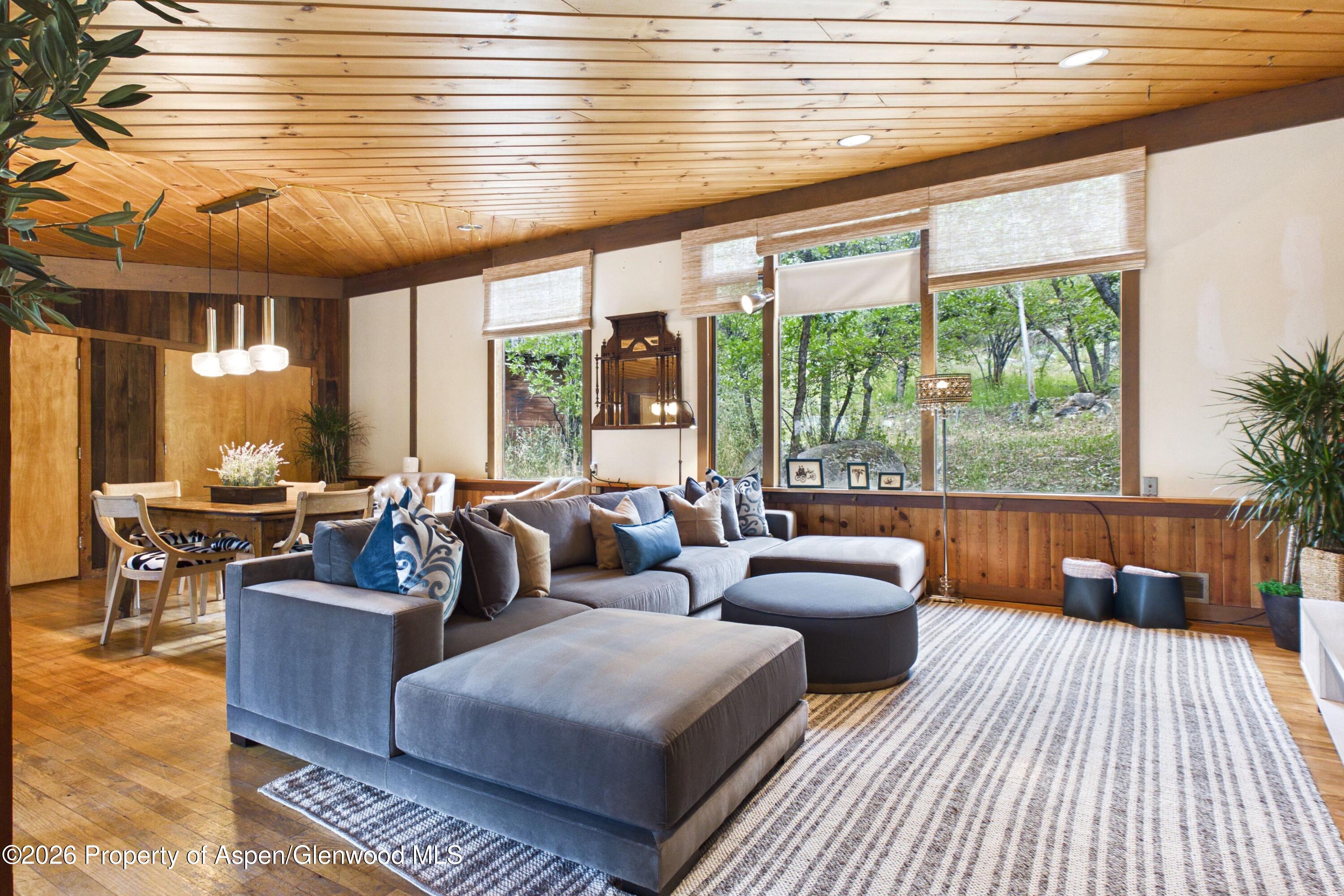 209 E Reds Road Aspen CO 81611