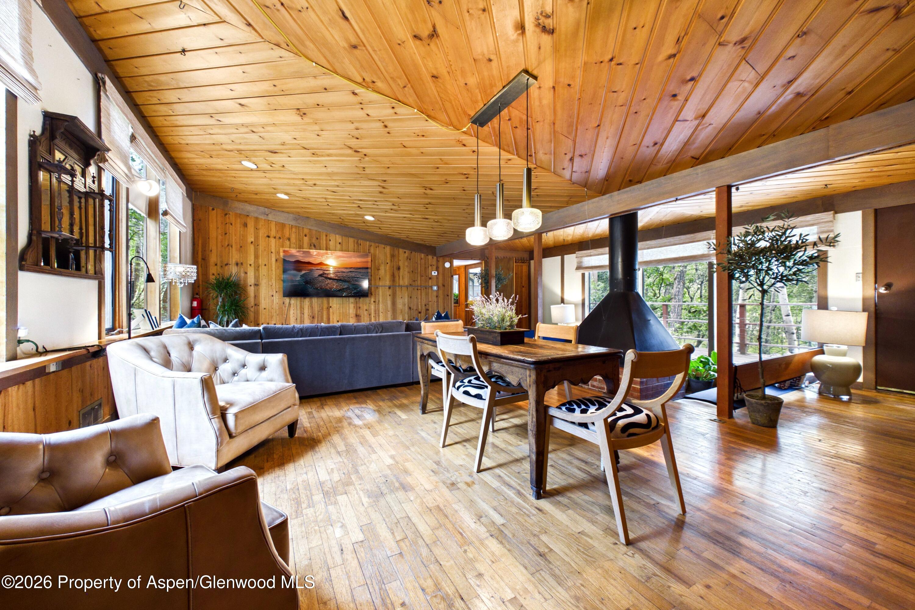 209 E Reds Road Aspen CO 81611