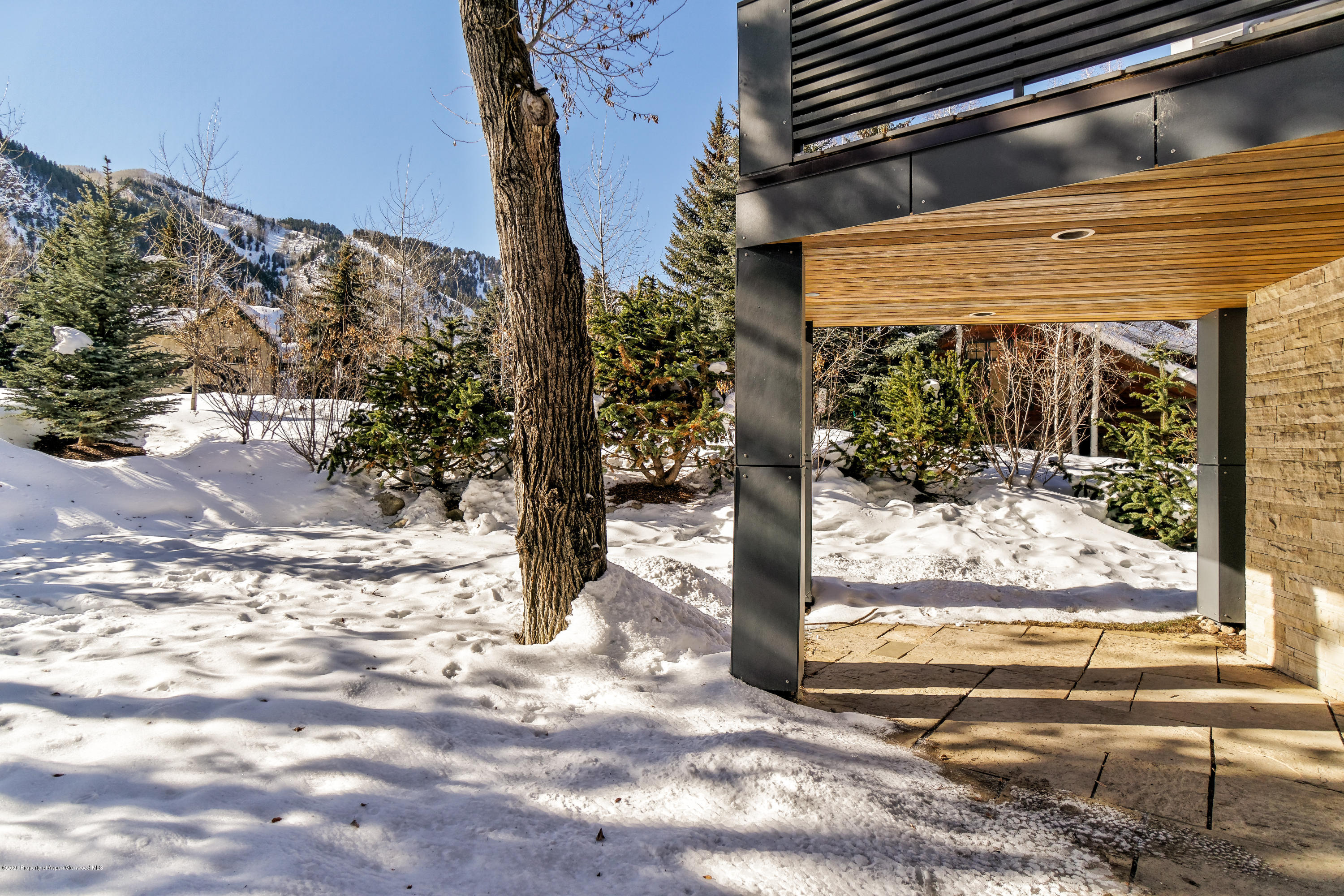 100 Park Avenue Aspen CO 81611