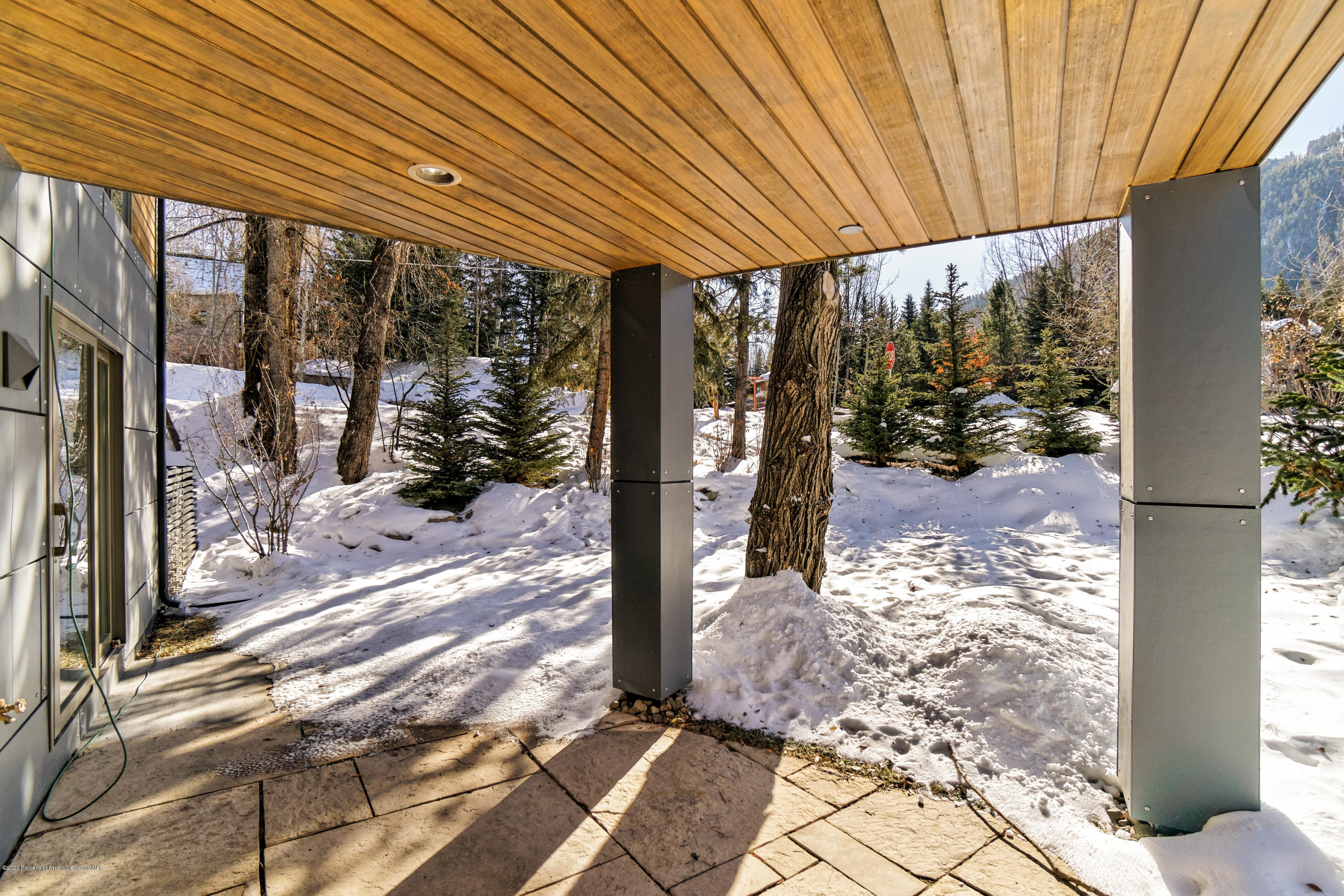 100 Park Avenue Aspen CO 81611