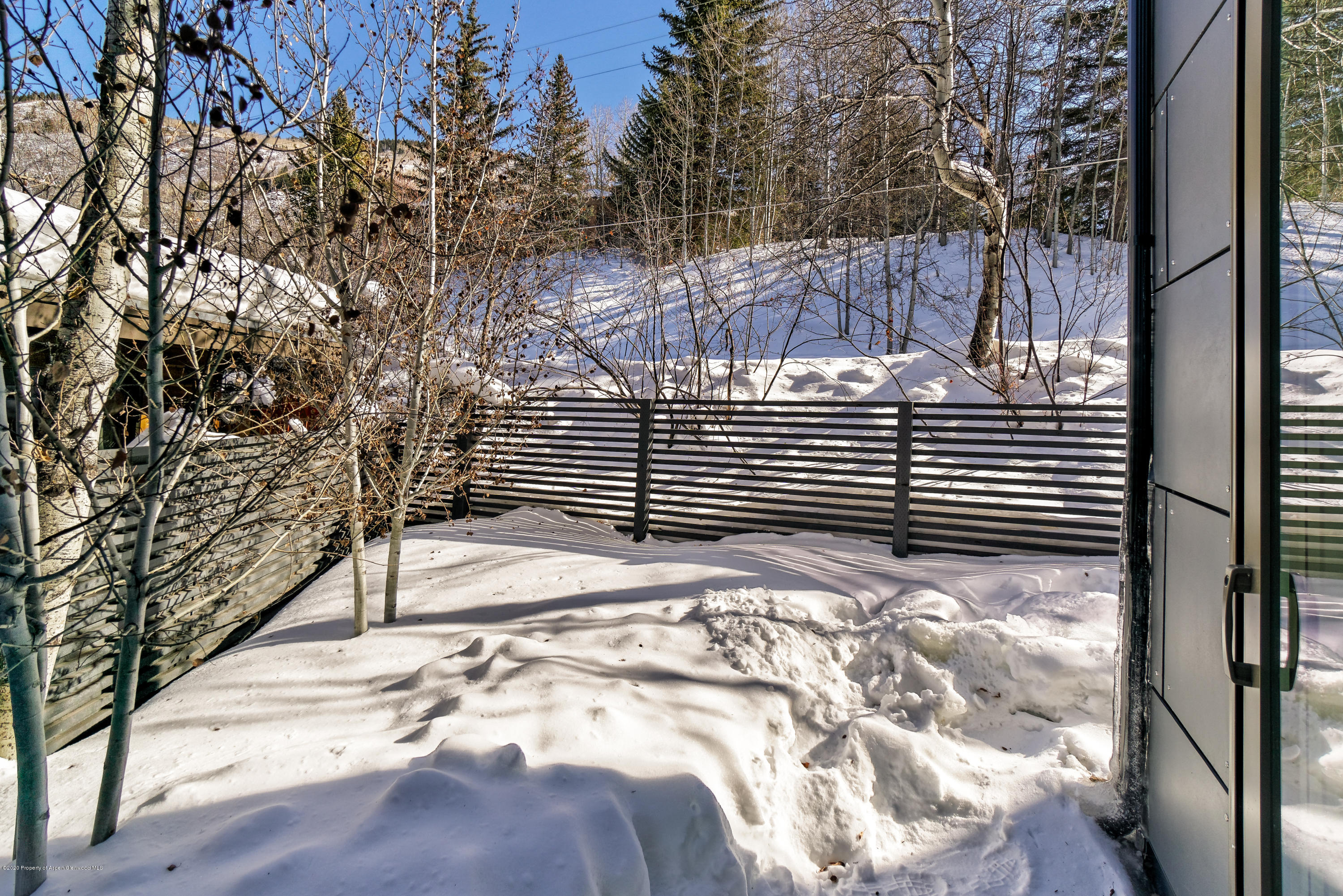 100 Park Avenue Aspen CO 81611