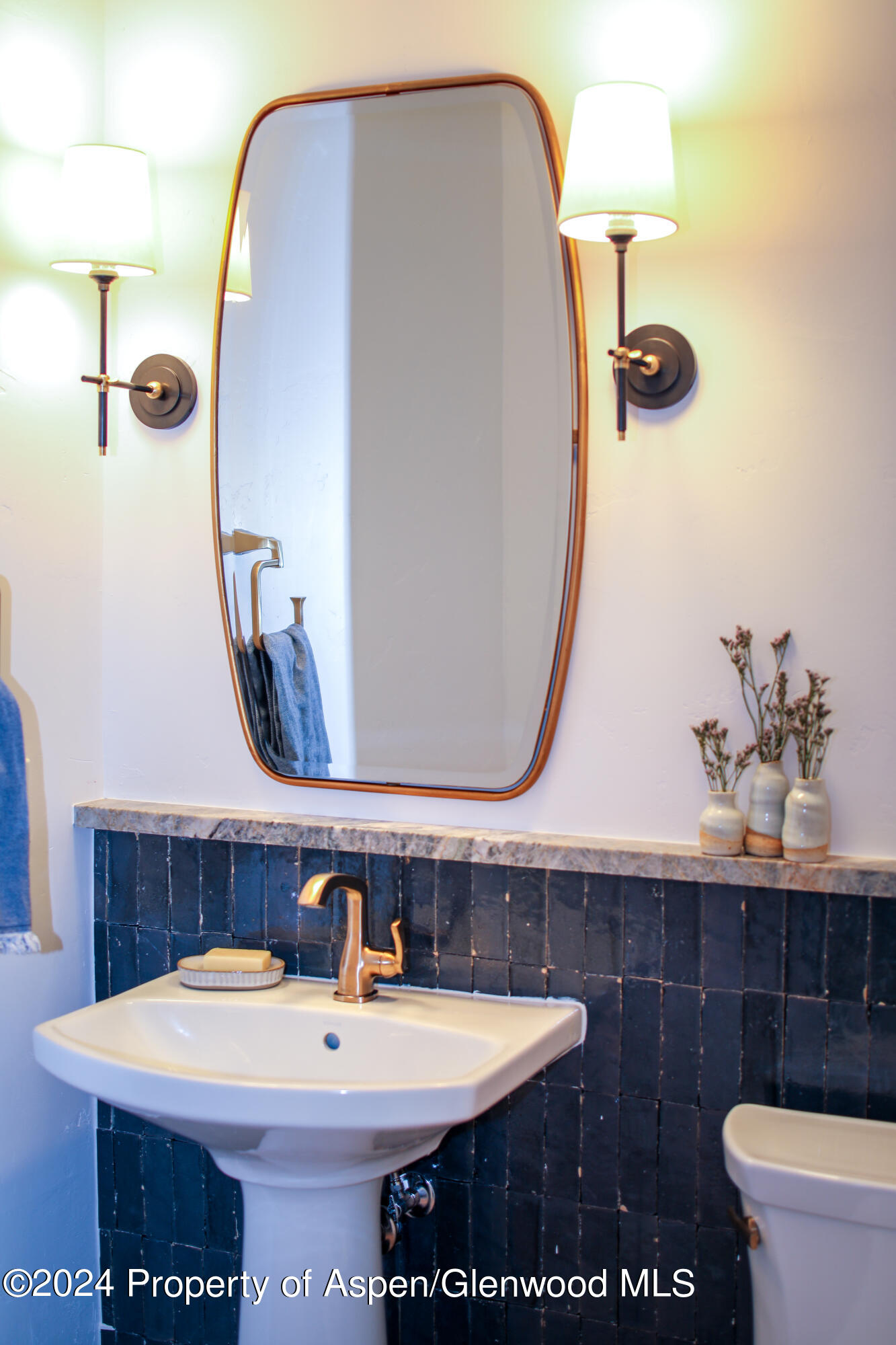 364 Summerset Lane Basalt CO 81621