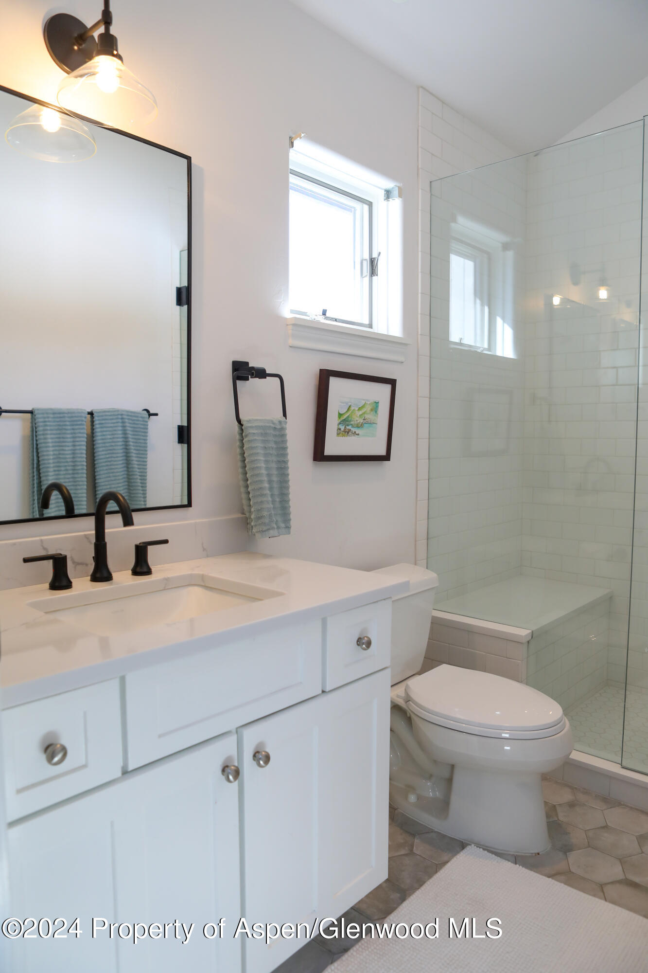 364 Summerset Lane Basalt CO 81621