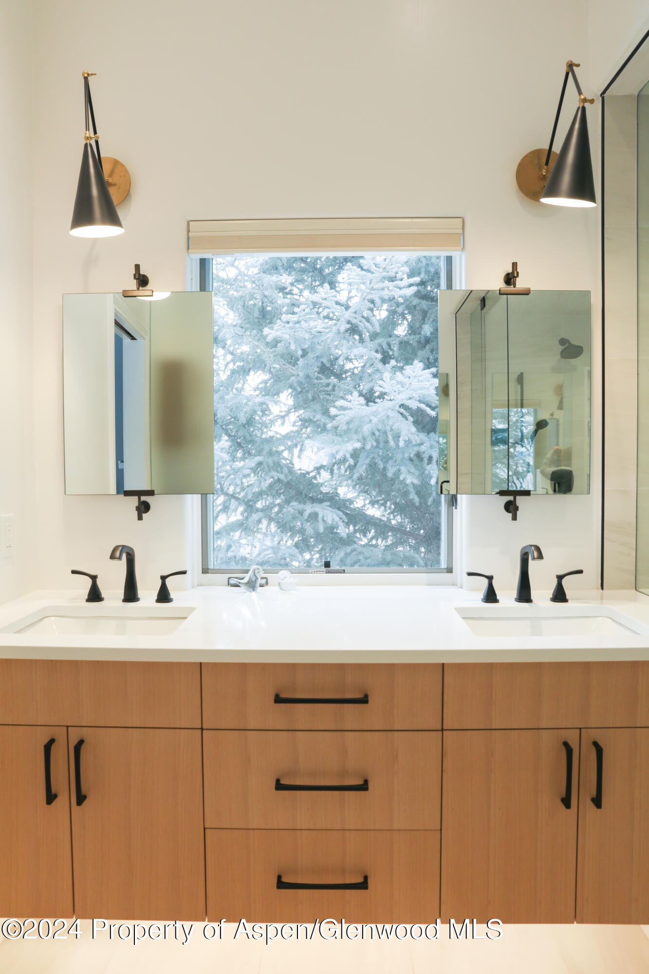 364 Summerset Lane Basalt CO 81621