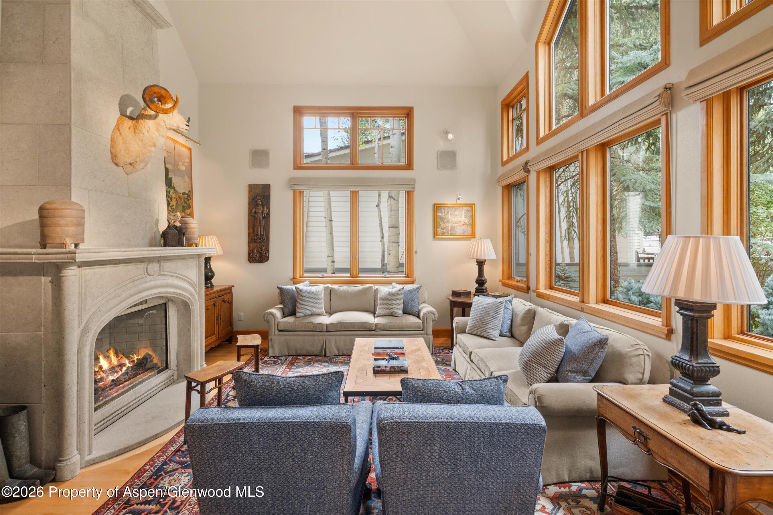 620 W Hallam Street Aspen CO 81611