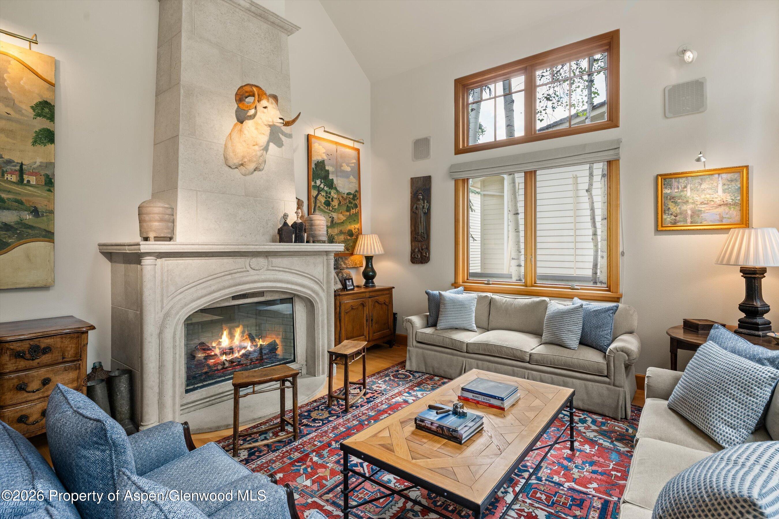 620 W Hallam Street Aspen CO 81611