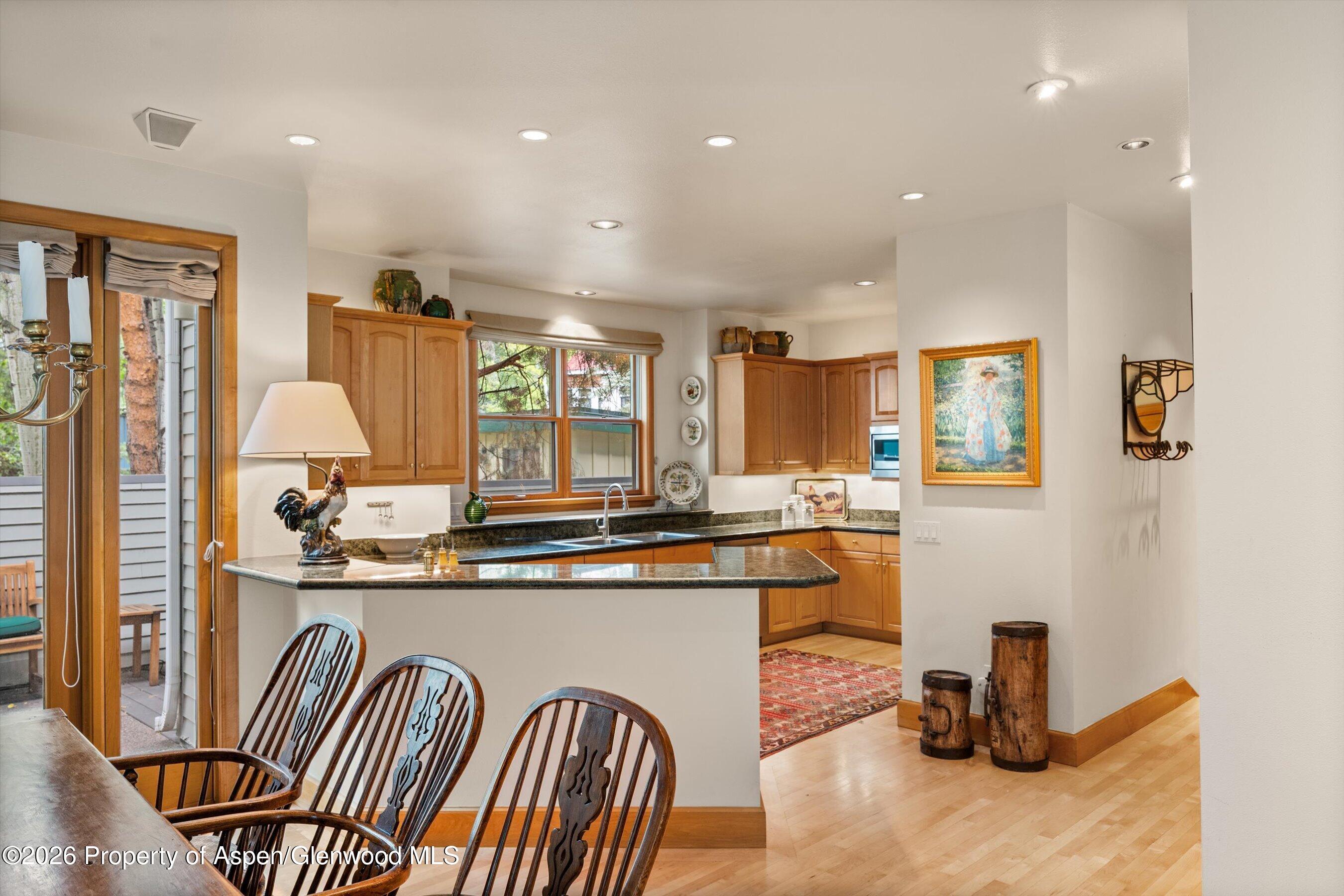 620 W Hallam Street Aspen CO 81611