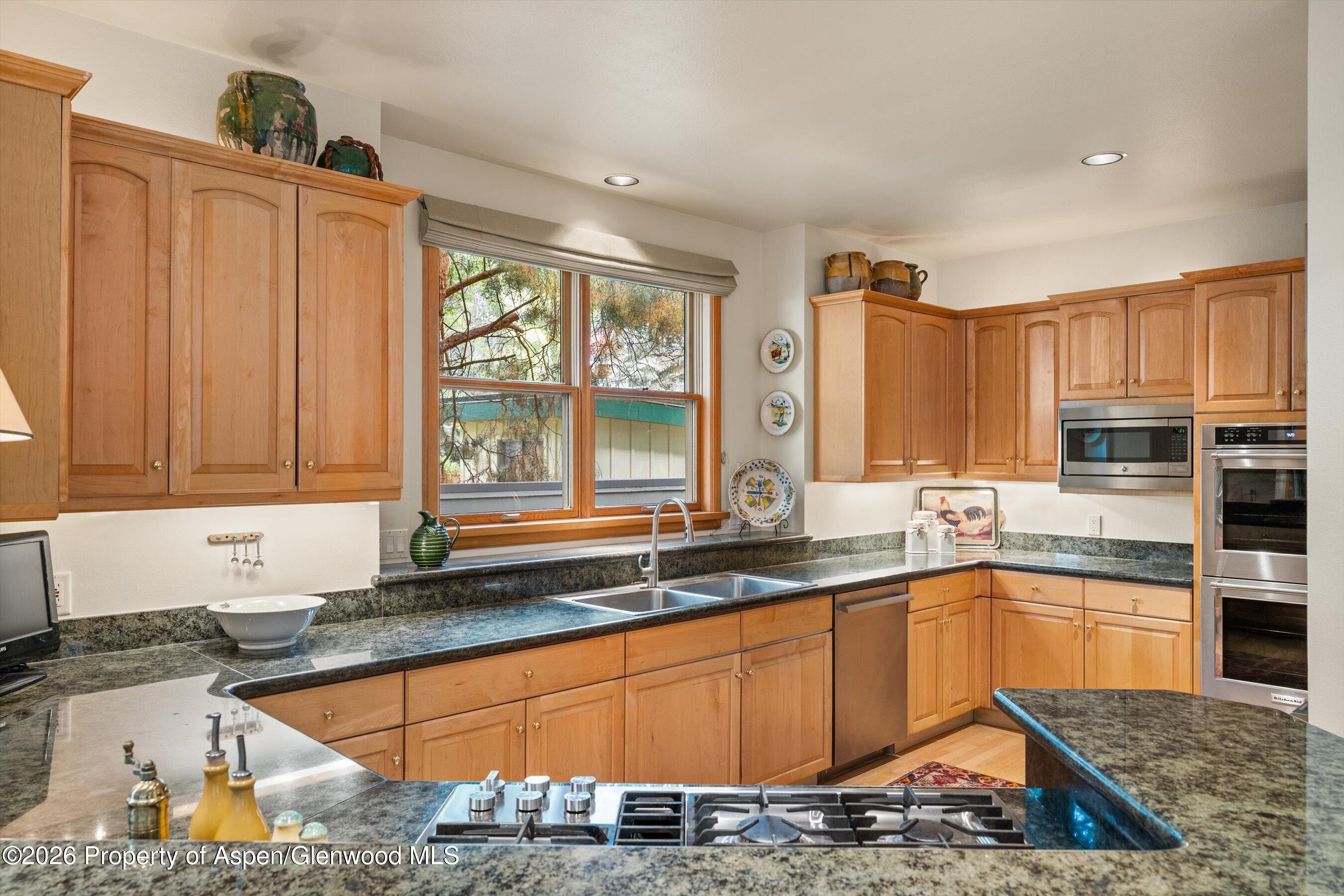 620 W Hallam Street Aspen CO 81611