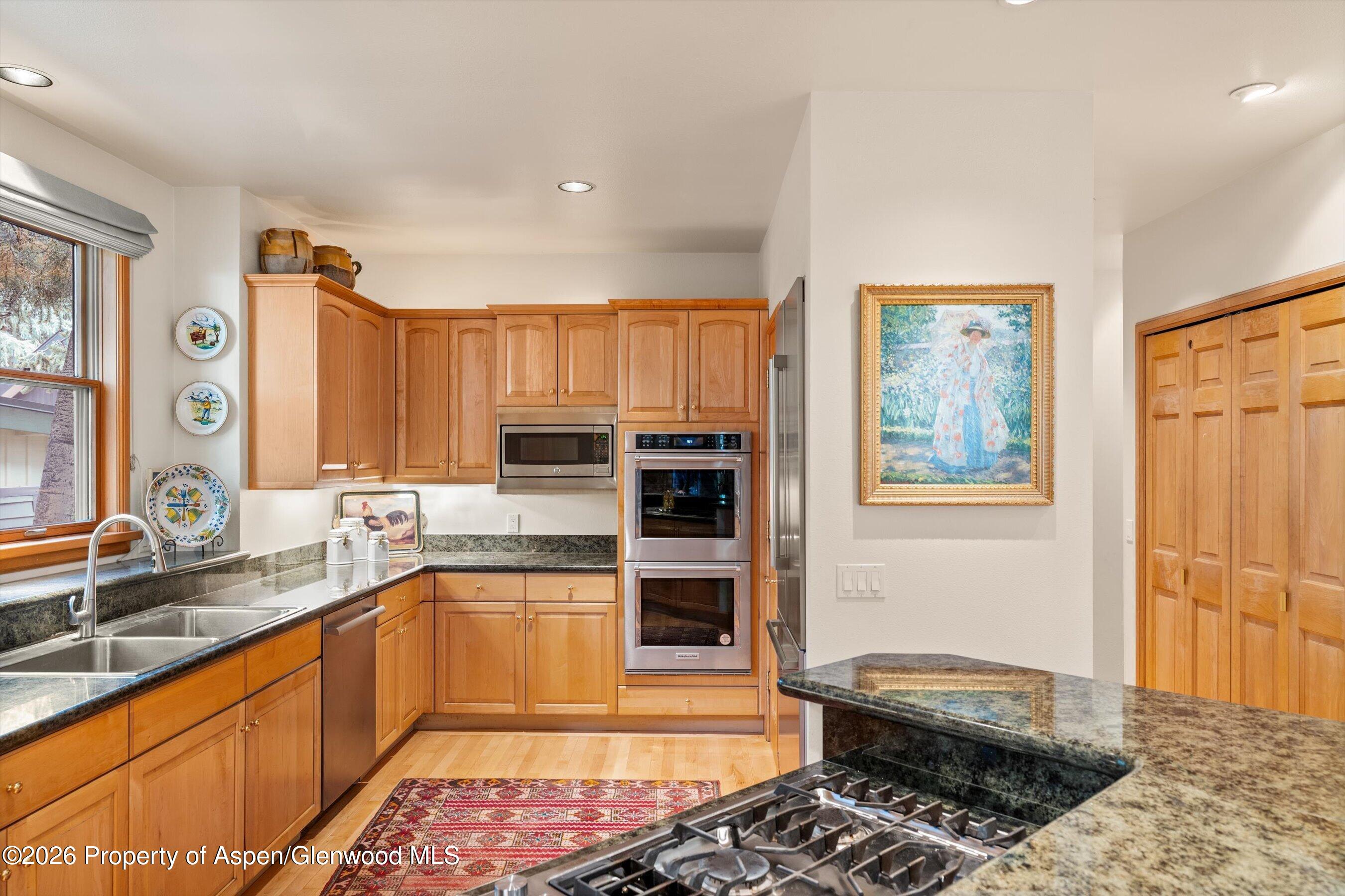 620 W Hallam Street Aspen CO 81611