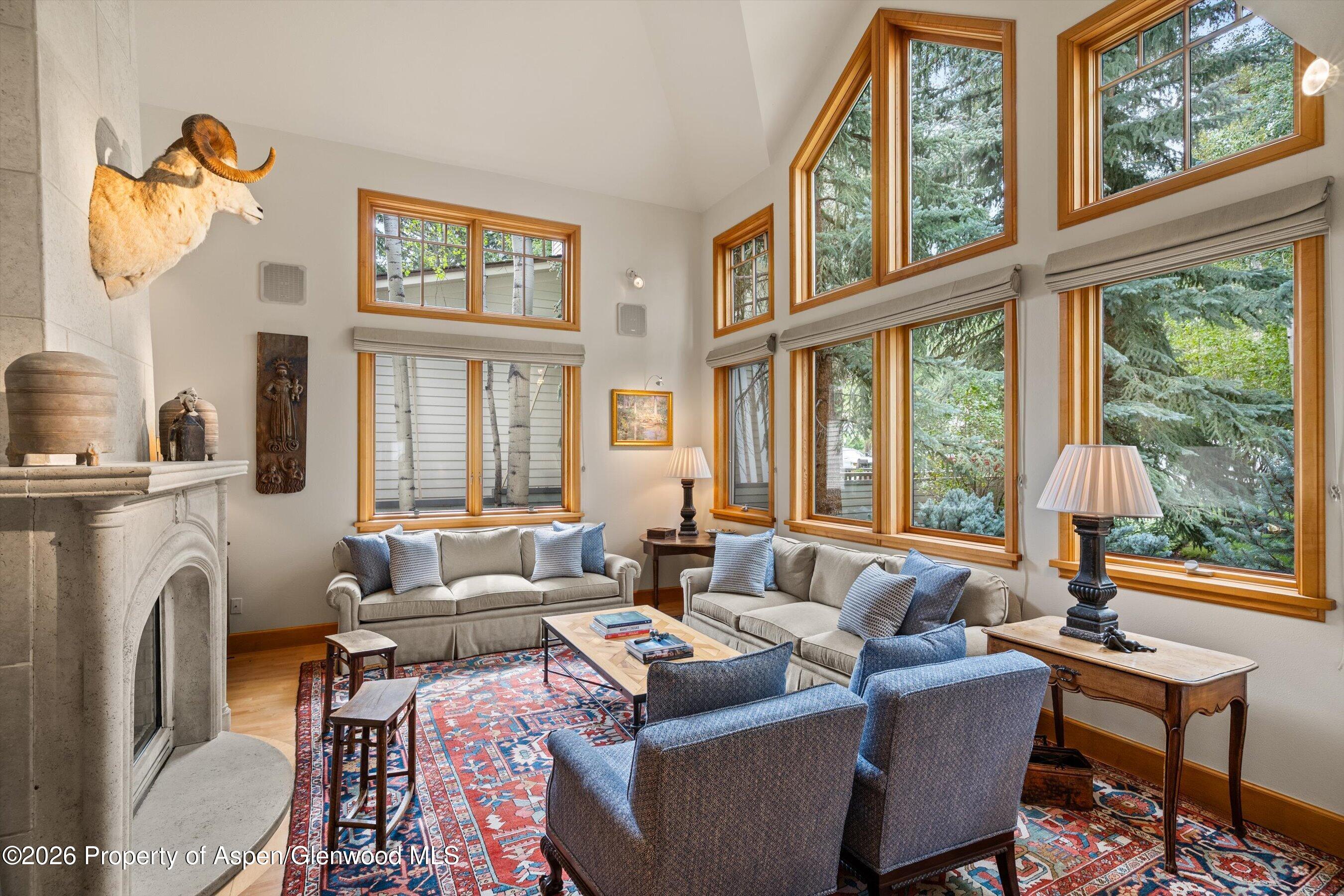 620 W Hallam Street Aspen CO 81611