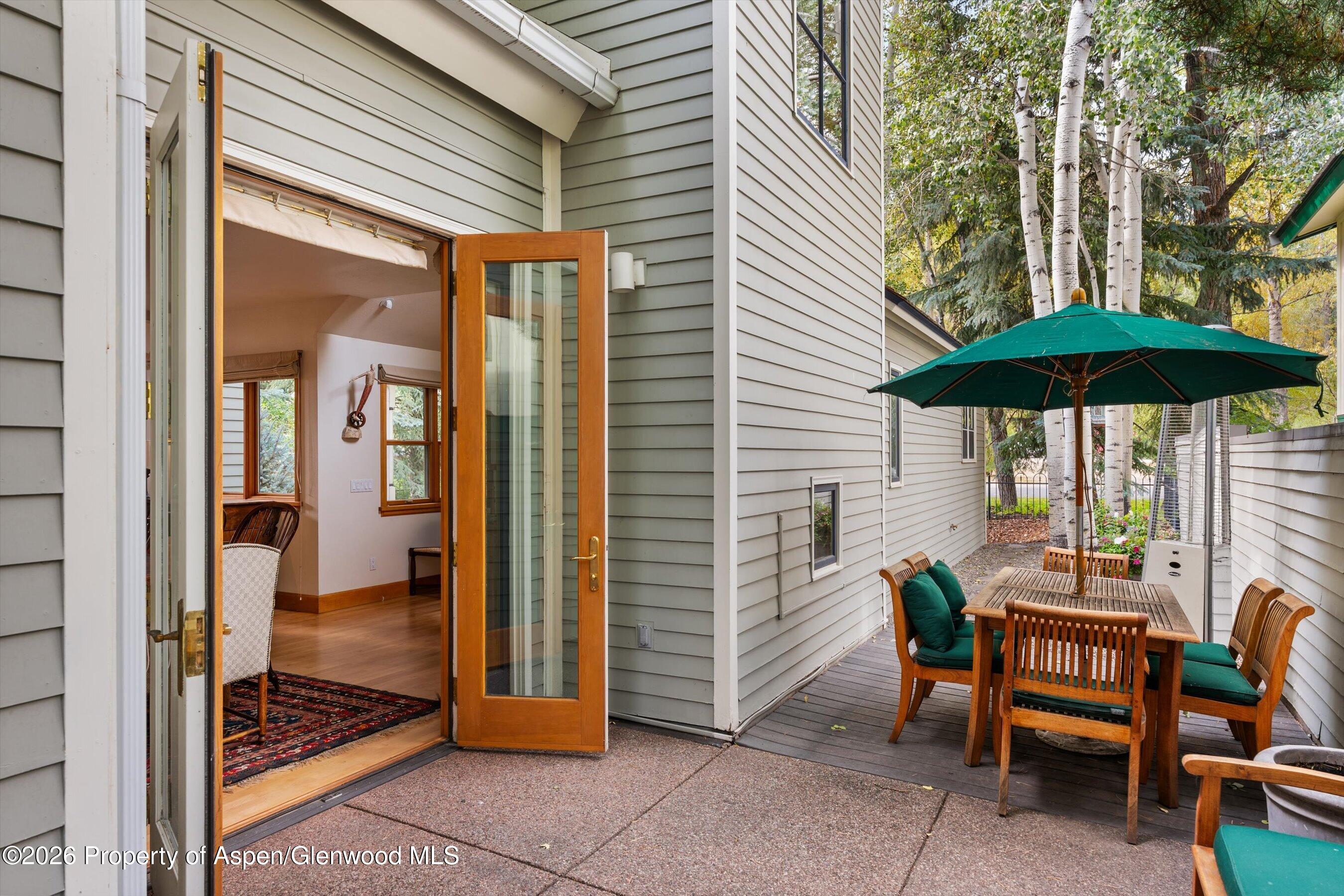 620 W Hallam Street Aspen CO 81611