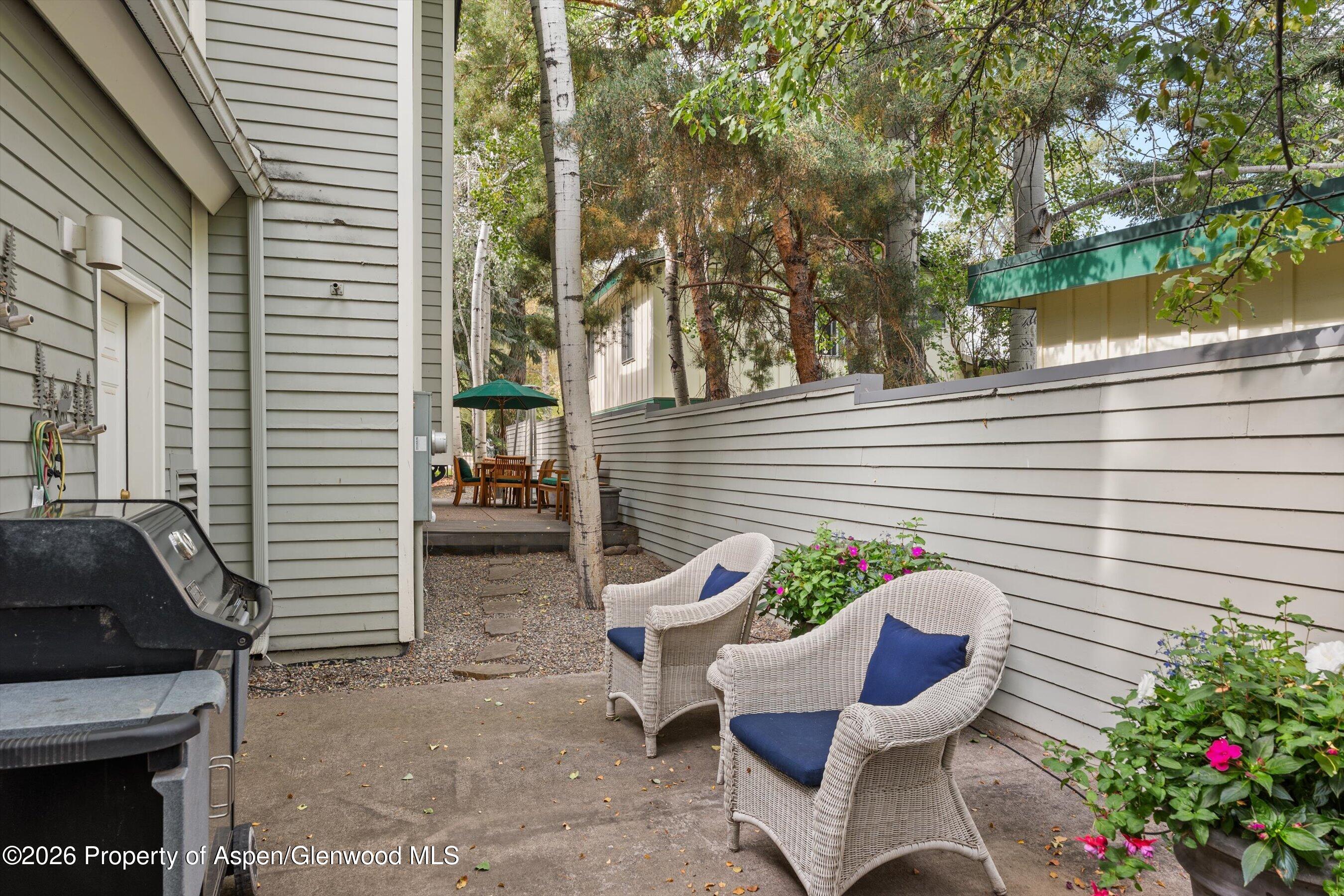 620 W Hallam Street Aspen CO 81611