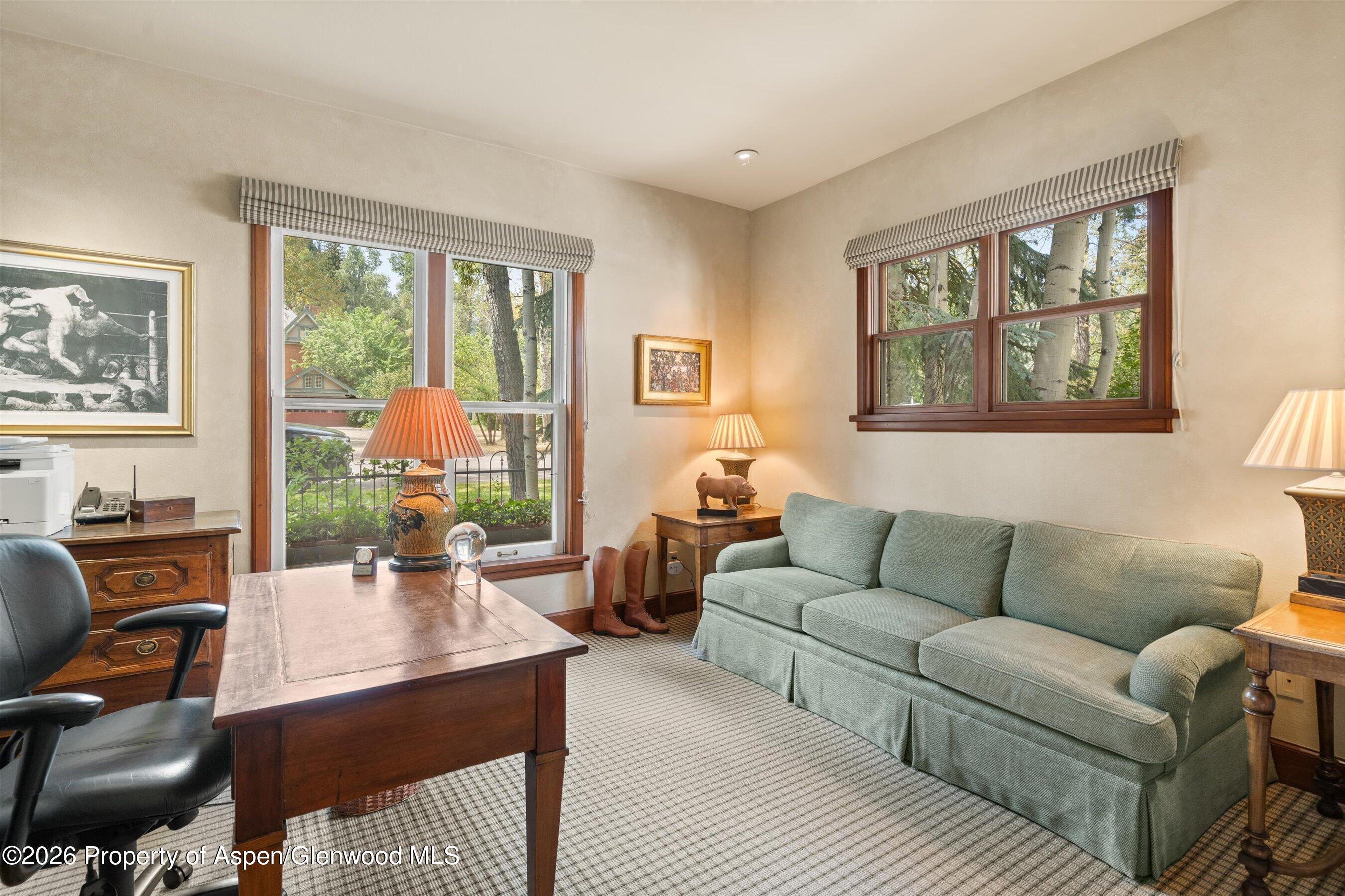 620 W Hallam Street Aspen CO 81611