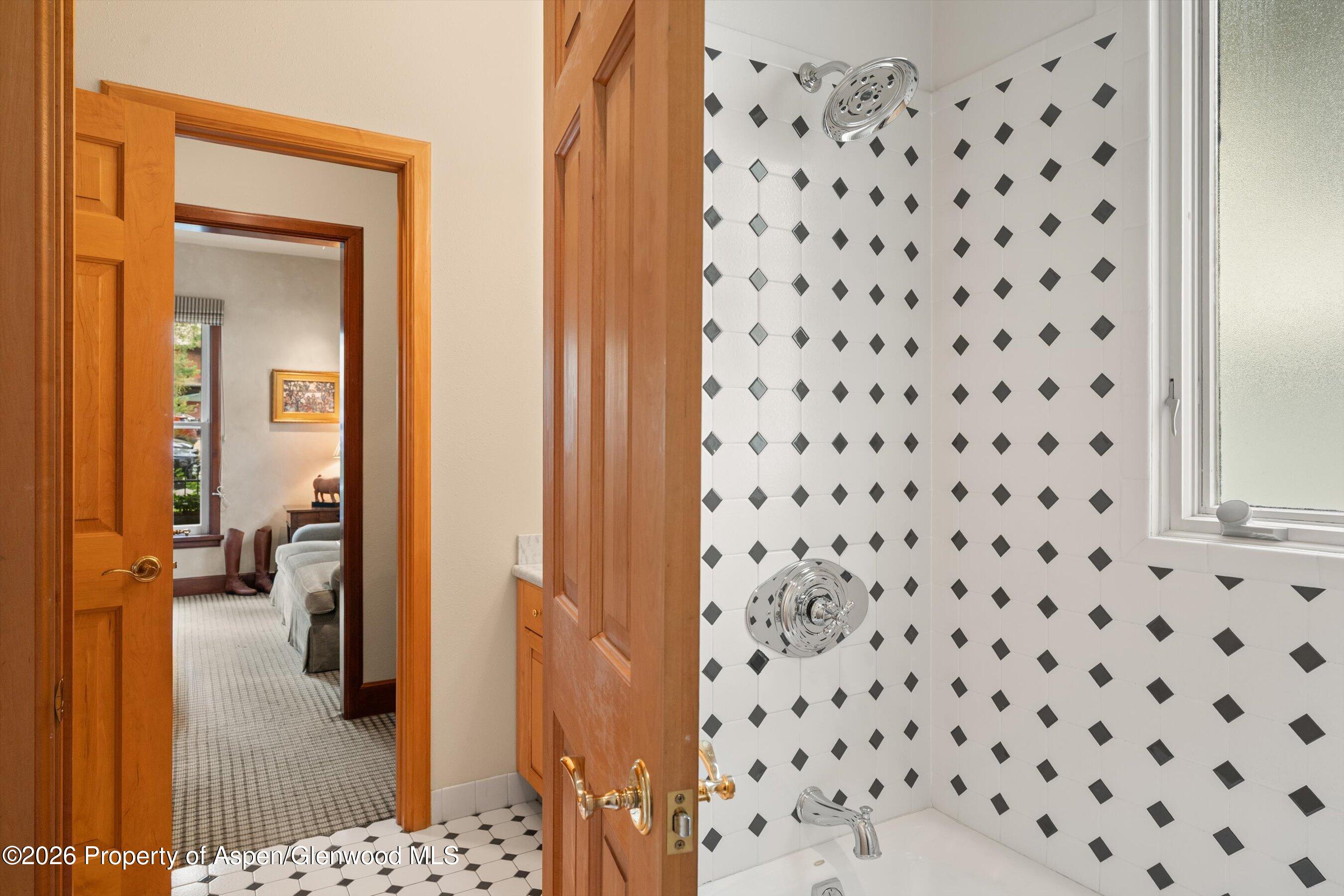 620 W Hallam Street Aspen CO 81611