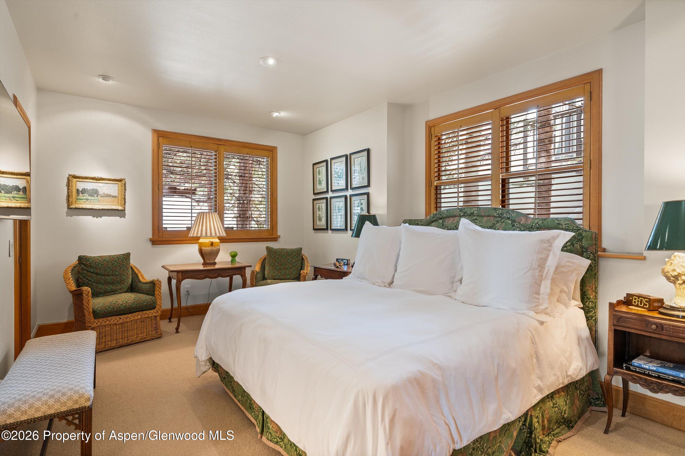 620 W Hallam Street Aspen CO 81611