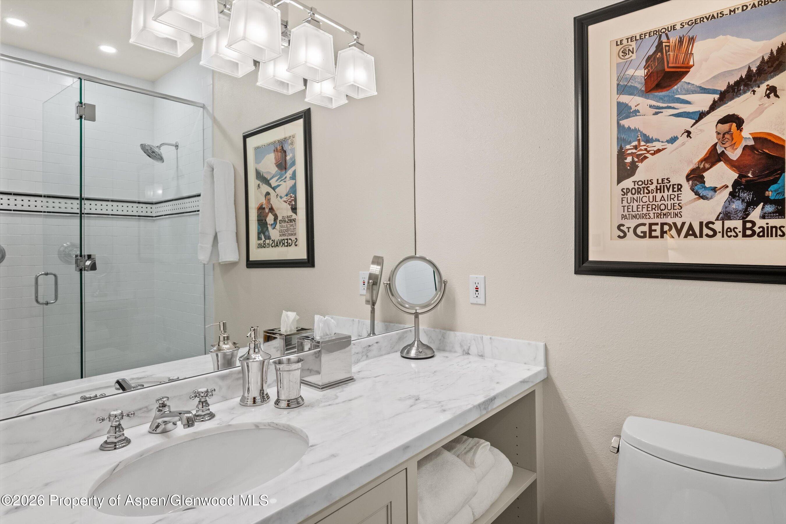 620 W Hallam Street Aspen CO 81611