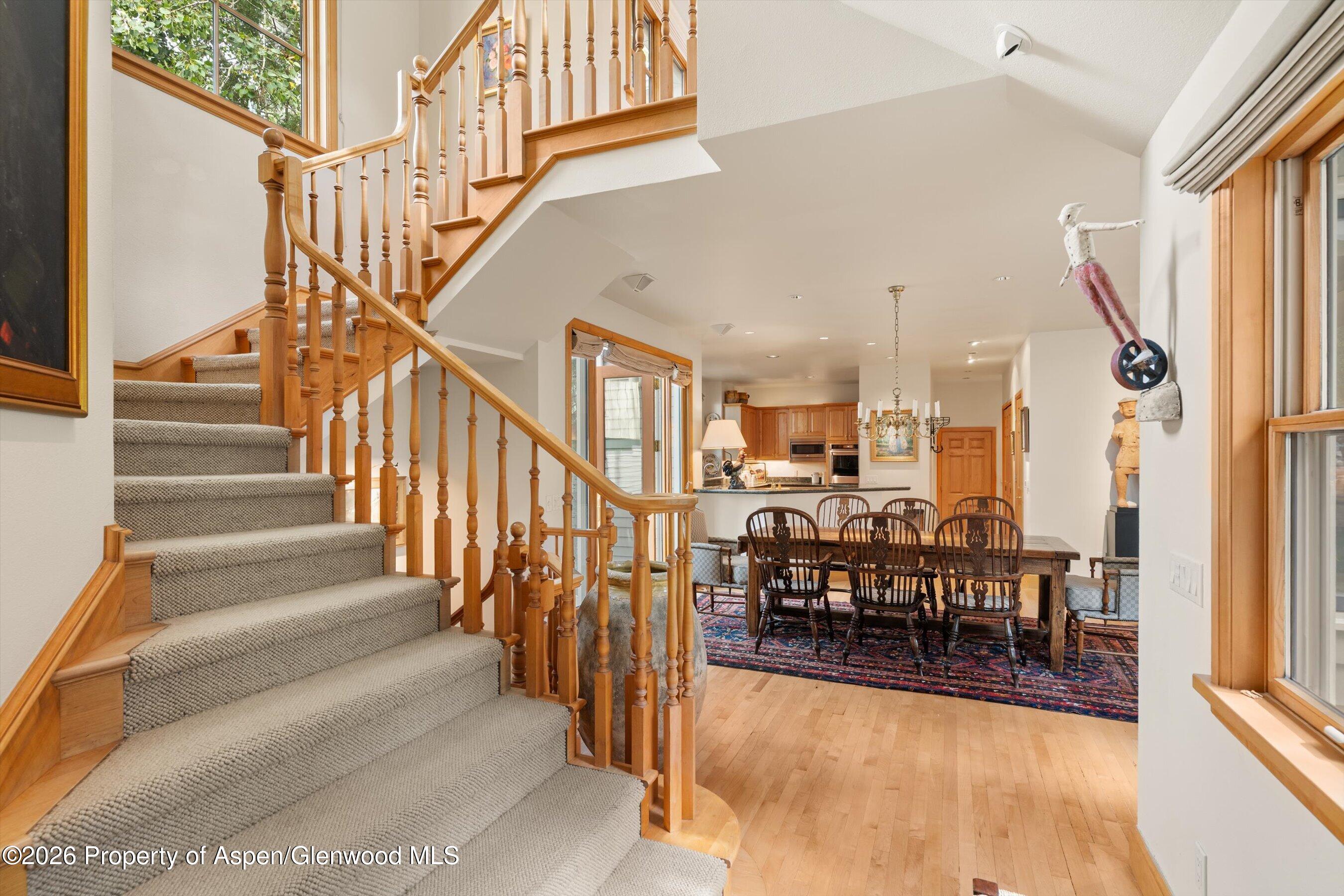 620 W Hallam Street Aspen CO 81611