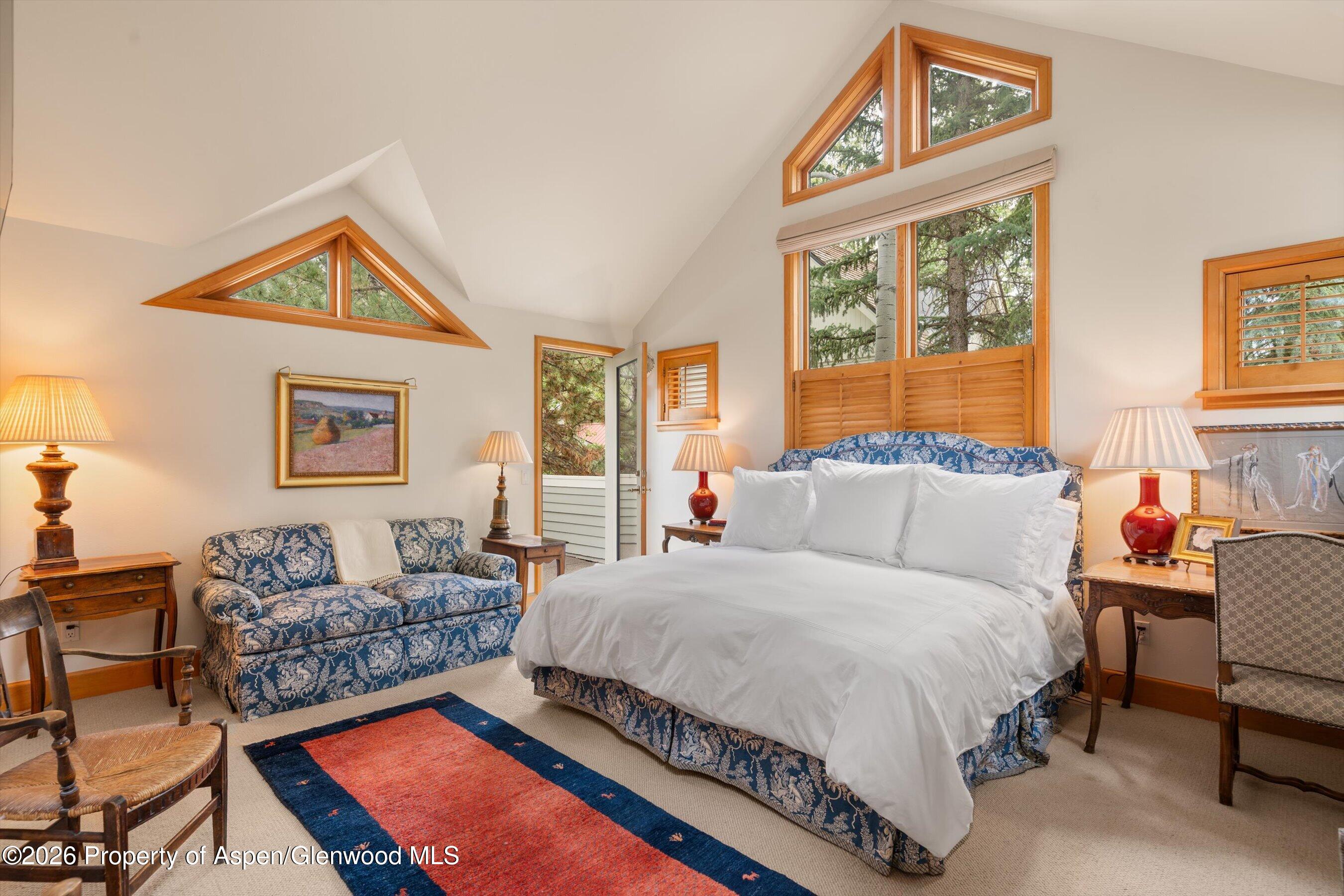 620 W Hallam Street Aspen CO 81611