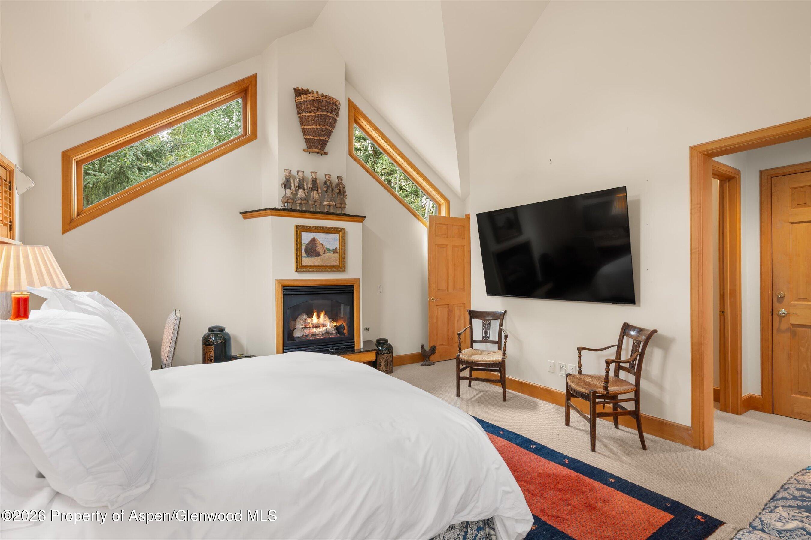 620 W Hallam Street Aspen CO 81611