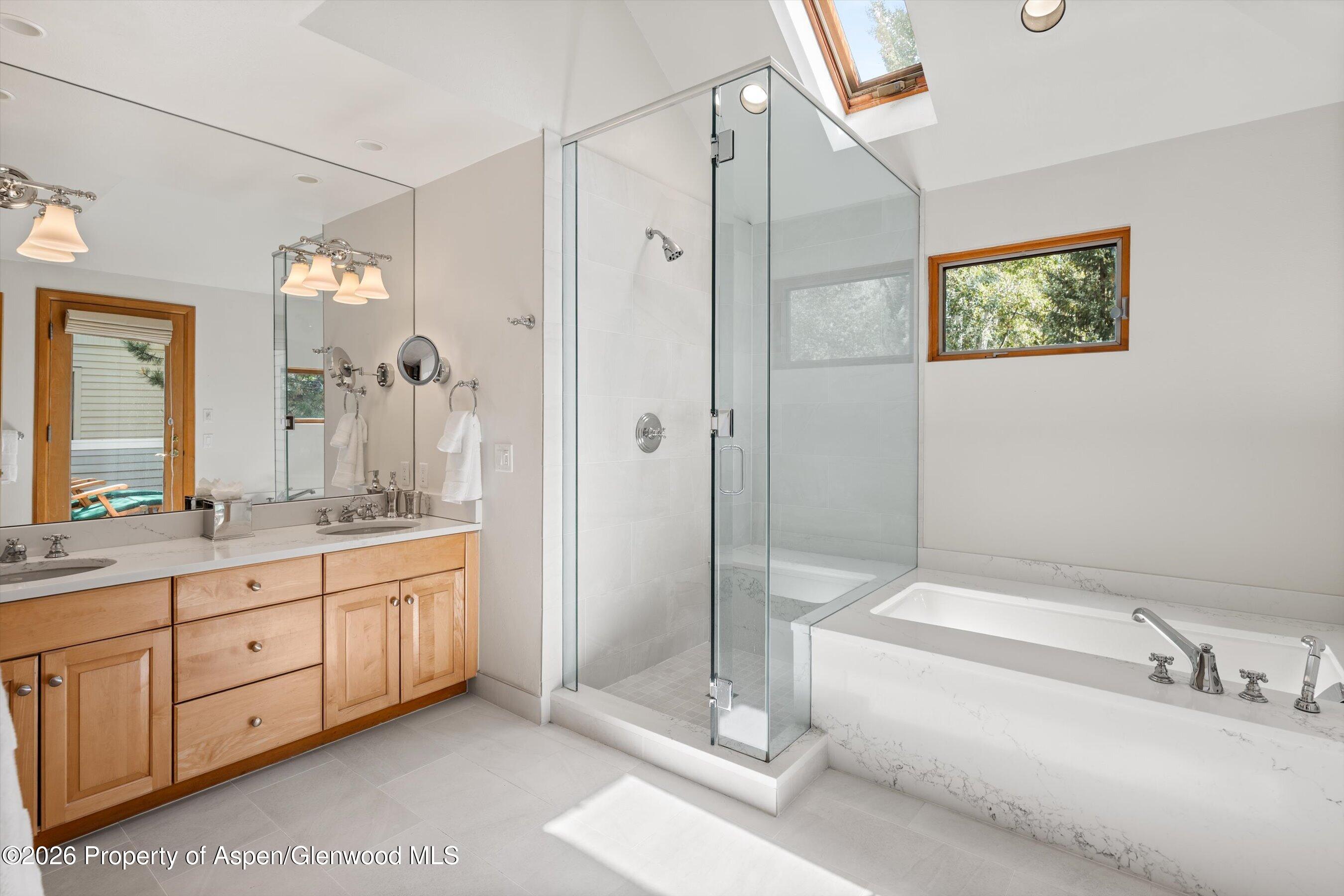 620 W Hallam Street Aspen CO 81611